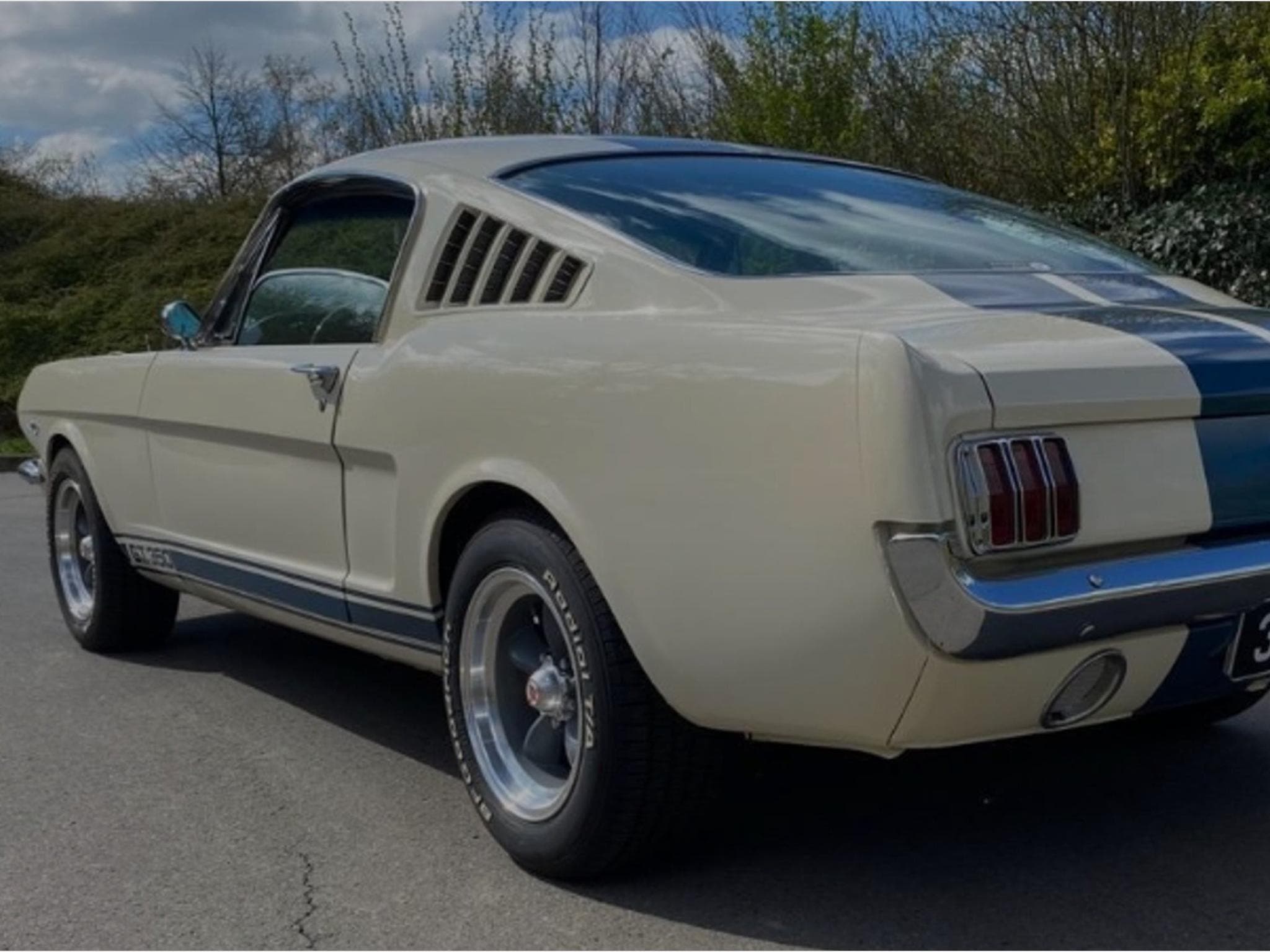 Ford Mustang Fastback GT350 Tribut 1965 (1965) - Photo 3