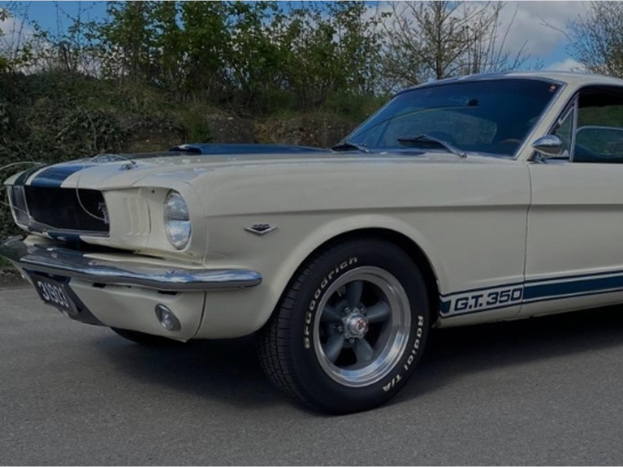 Ford Mustang Fastback GT350 Tribut 1965 (1965) - Photo 4