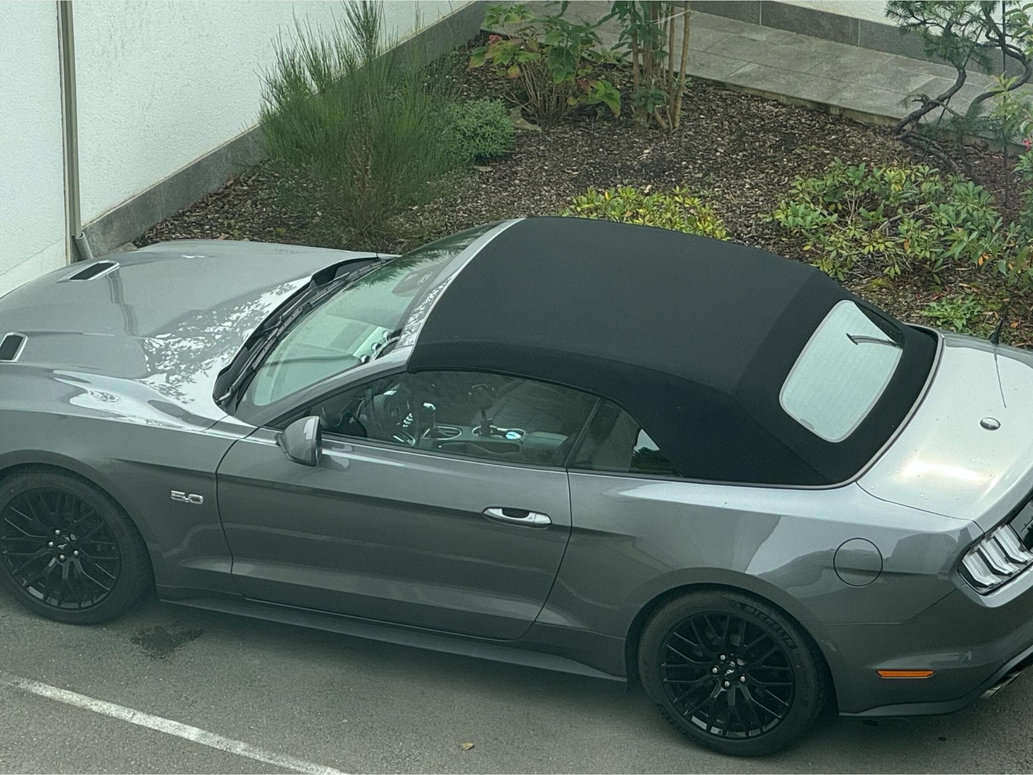 Ford Mustang 5.0 Ti-VCT V8 Cabrio GT Premium (2022) - Photo 3