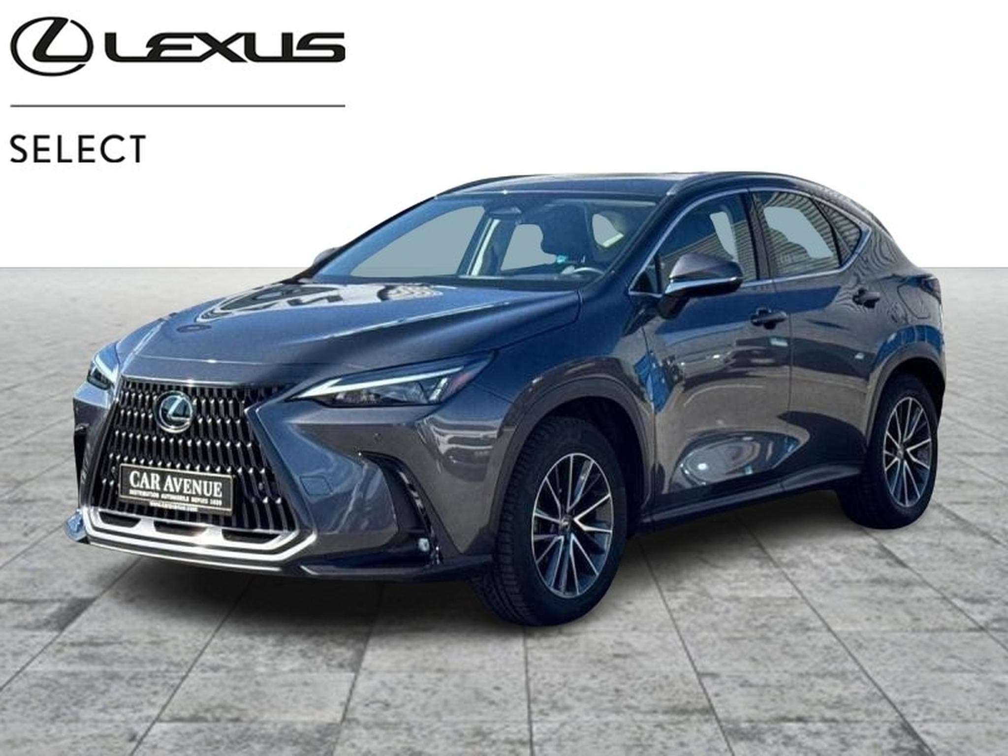 Lexus NX Business Line (2024) - Photo 1