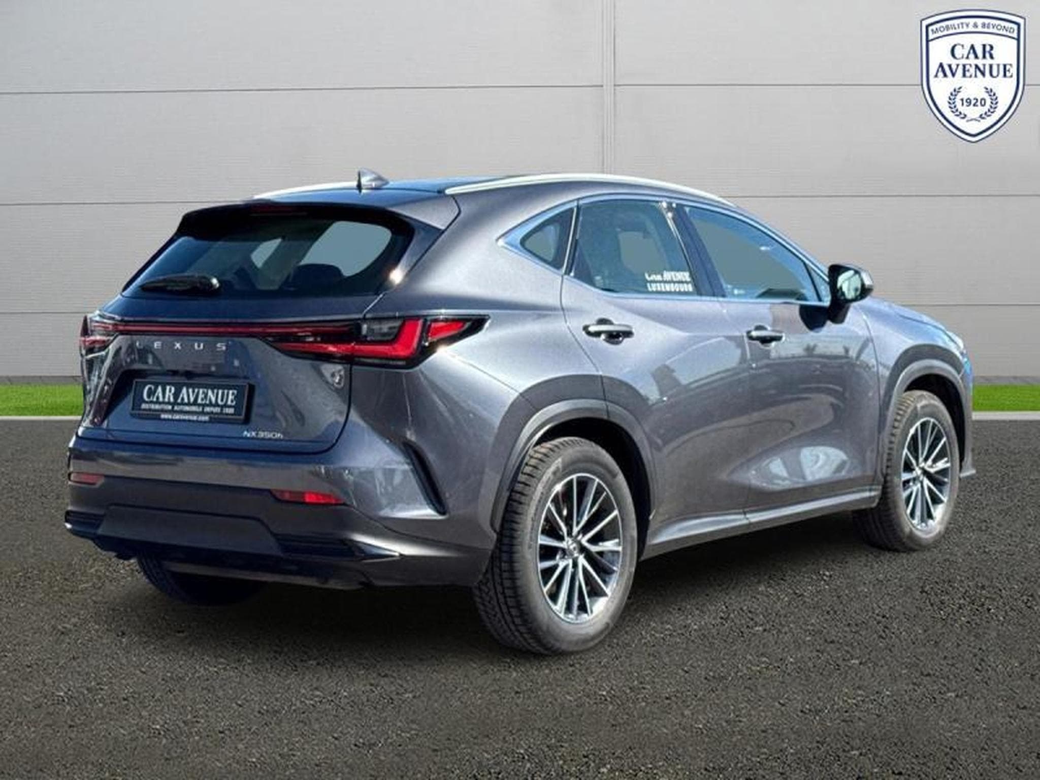 Lexus NX Business Line (2024) - Photo 2