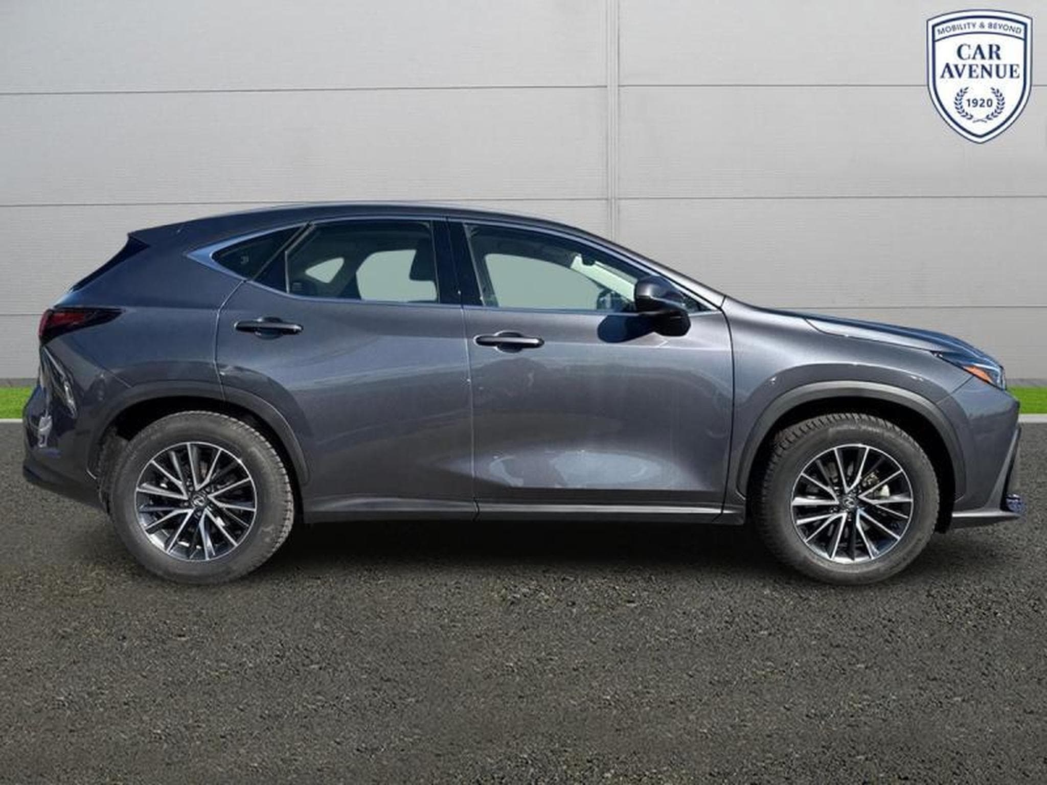 Lexus NX Business Line (2024) - Photo 5