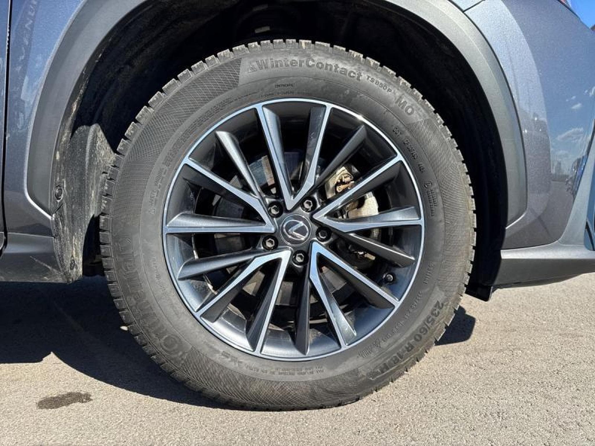 Lexus NX Business Line (2024) - Photo 6