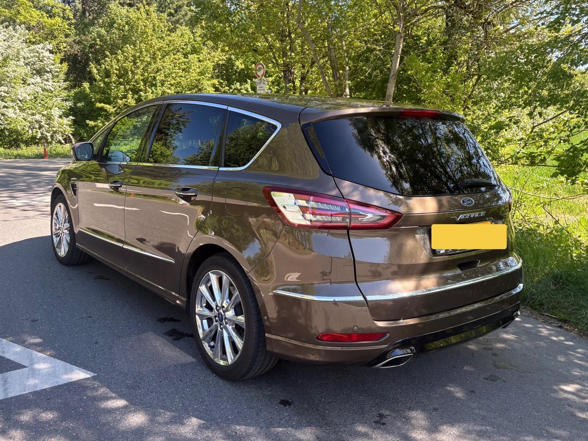 Ford S-Max Vignale (2017) - Photo 2