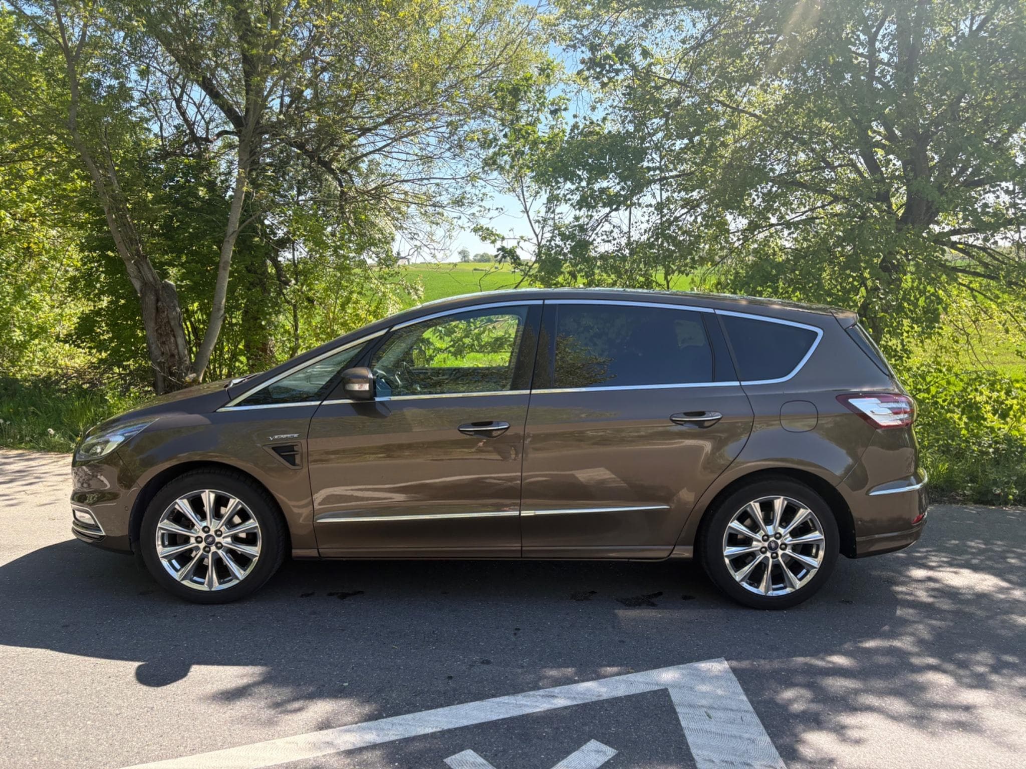 Ford S-Max Vignale (2017) - Photo 3