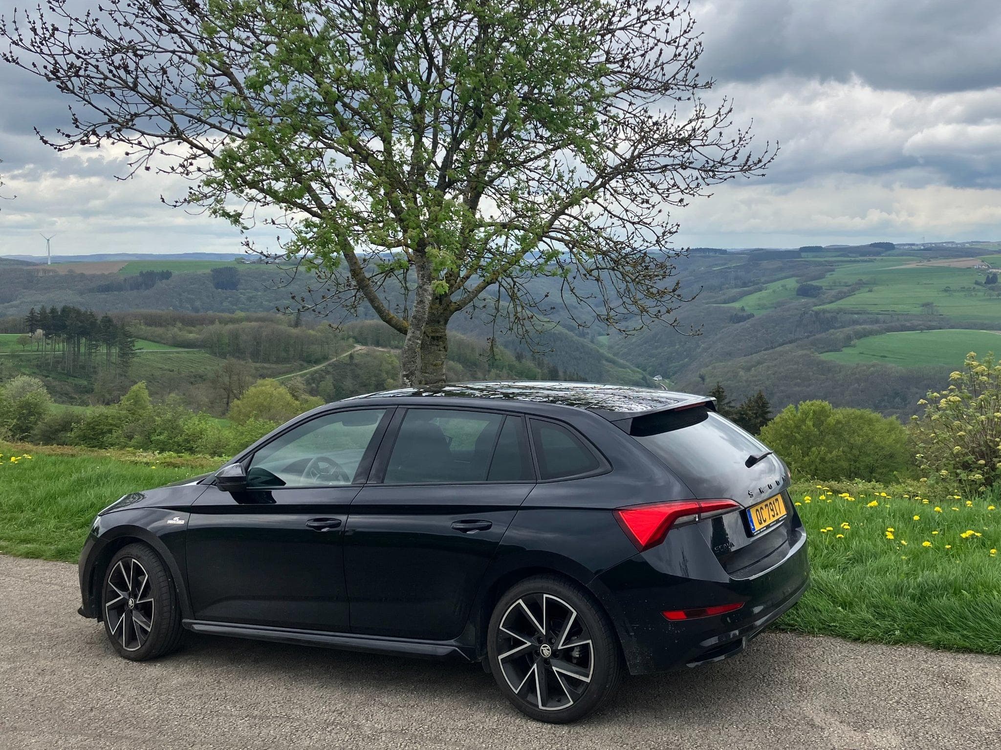 Skoda Scala MonteCarlo+1.5TSI+150hp+DSG+PSP+LED+Pano (2020) - Photo 2