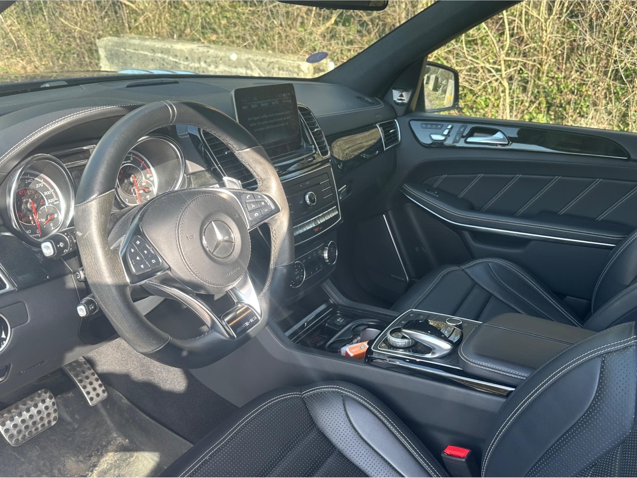 Mercedes GLS 63 AMG AMG (2019) - Photo 6