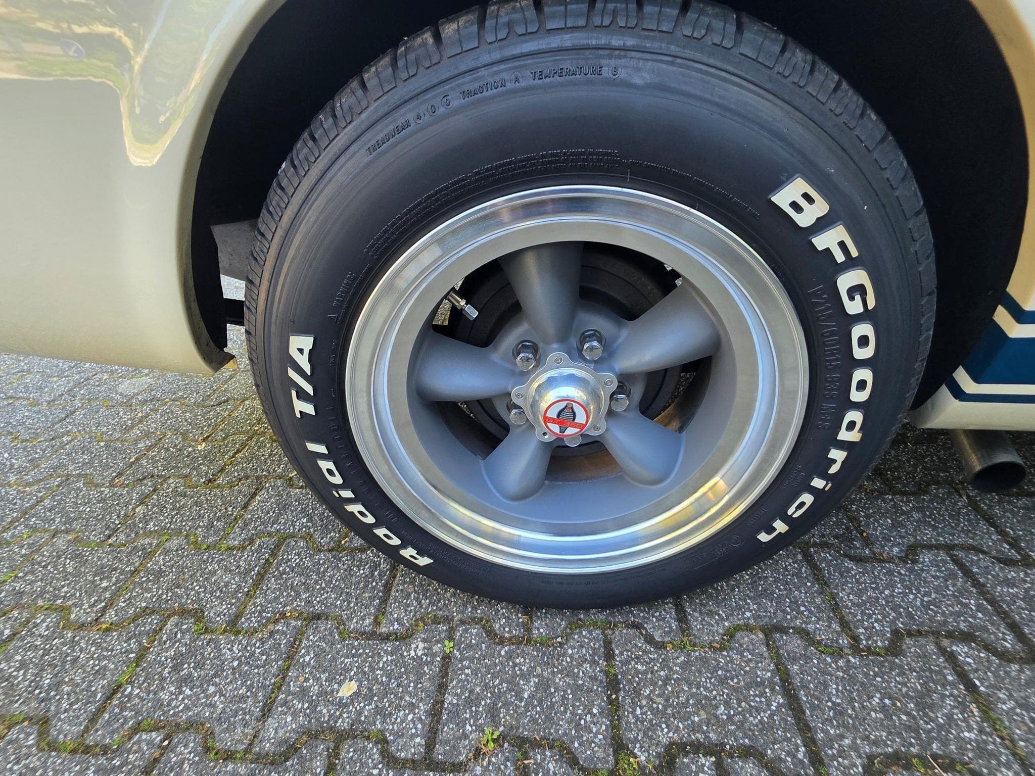 Ford Mustang Fastback GT350 Tribut 1965 (1965) - Photo 10