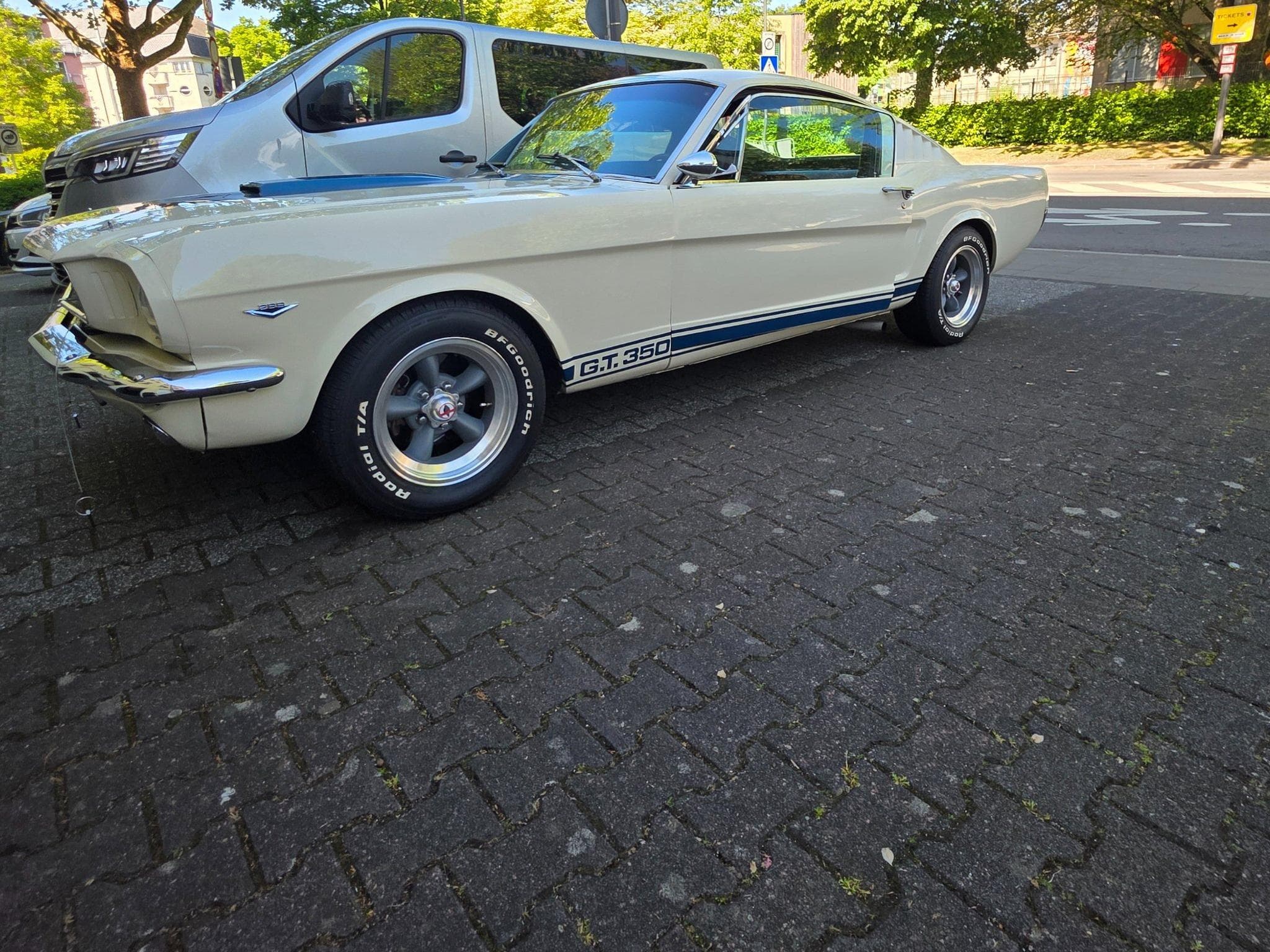 Ford Mustang Fastback GT350 Tribut 1965 (1965) - Photo 13