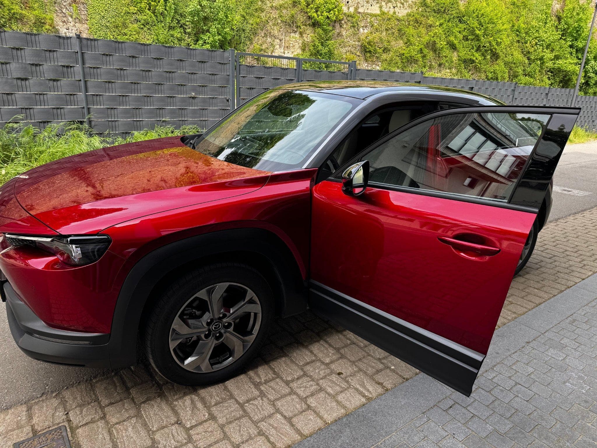 Mazda MX-30 (2021) - Photo 1