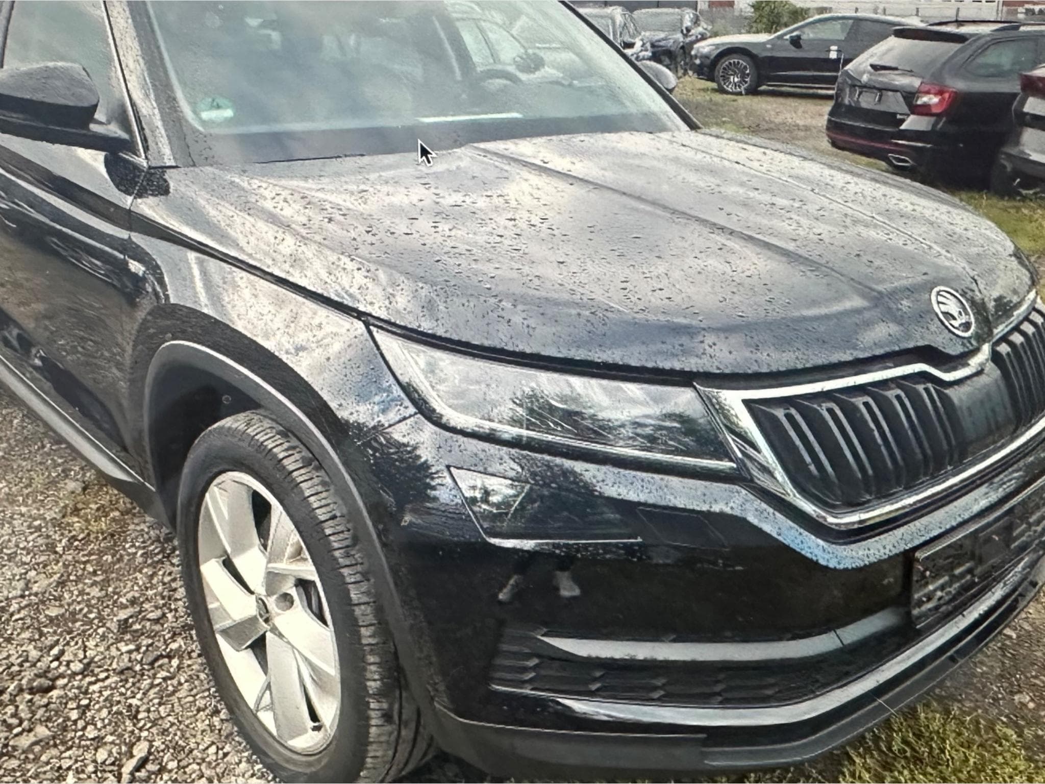 Skoda Kodiaq 4*4 (2020) - Photo 2