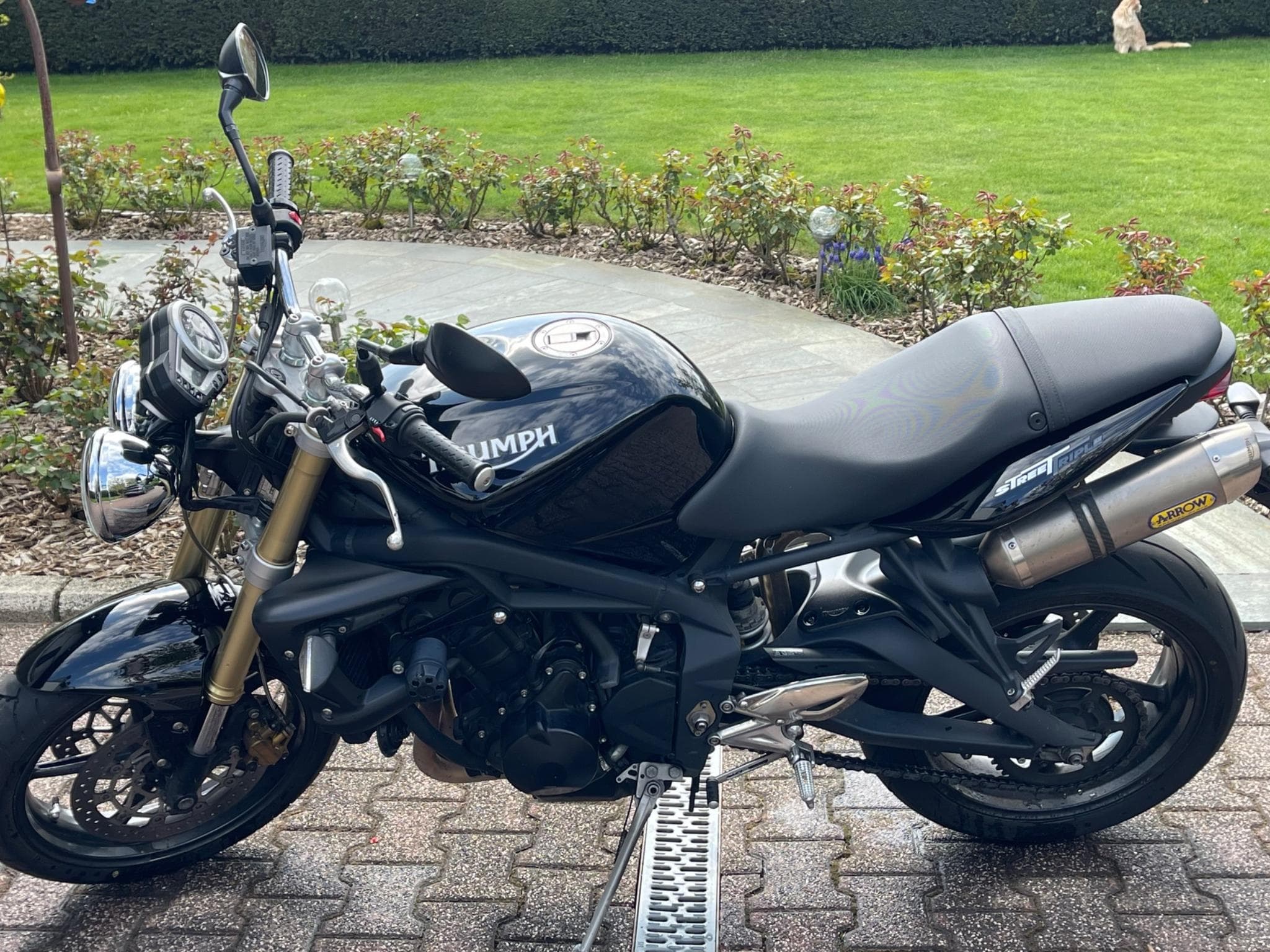 Triumph Street Triple (2009) - Photo 4