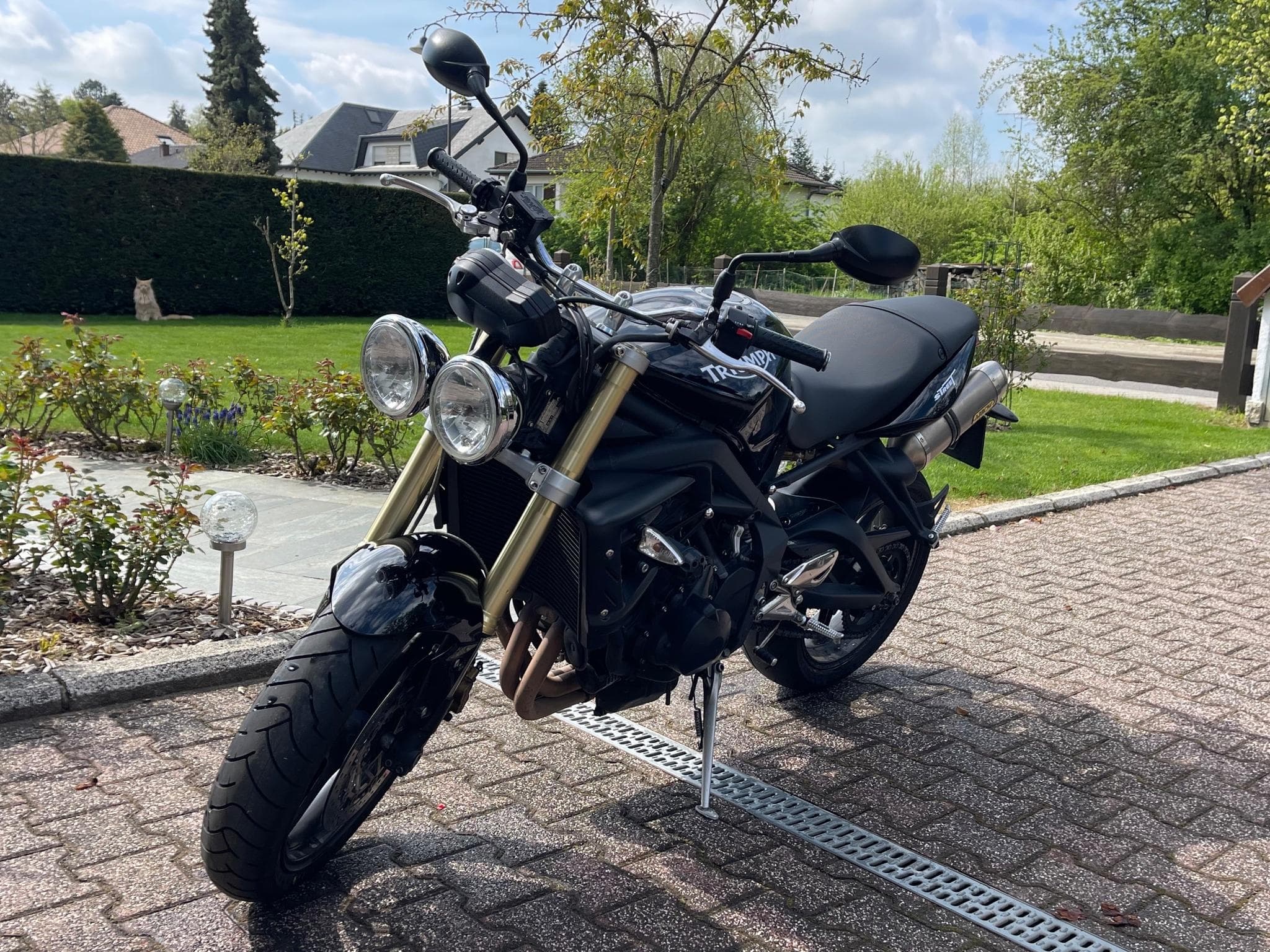 Triumph Street Triple (2009) - Photo 5