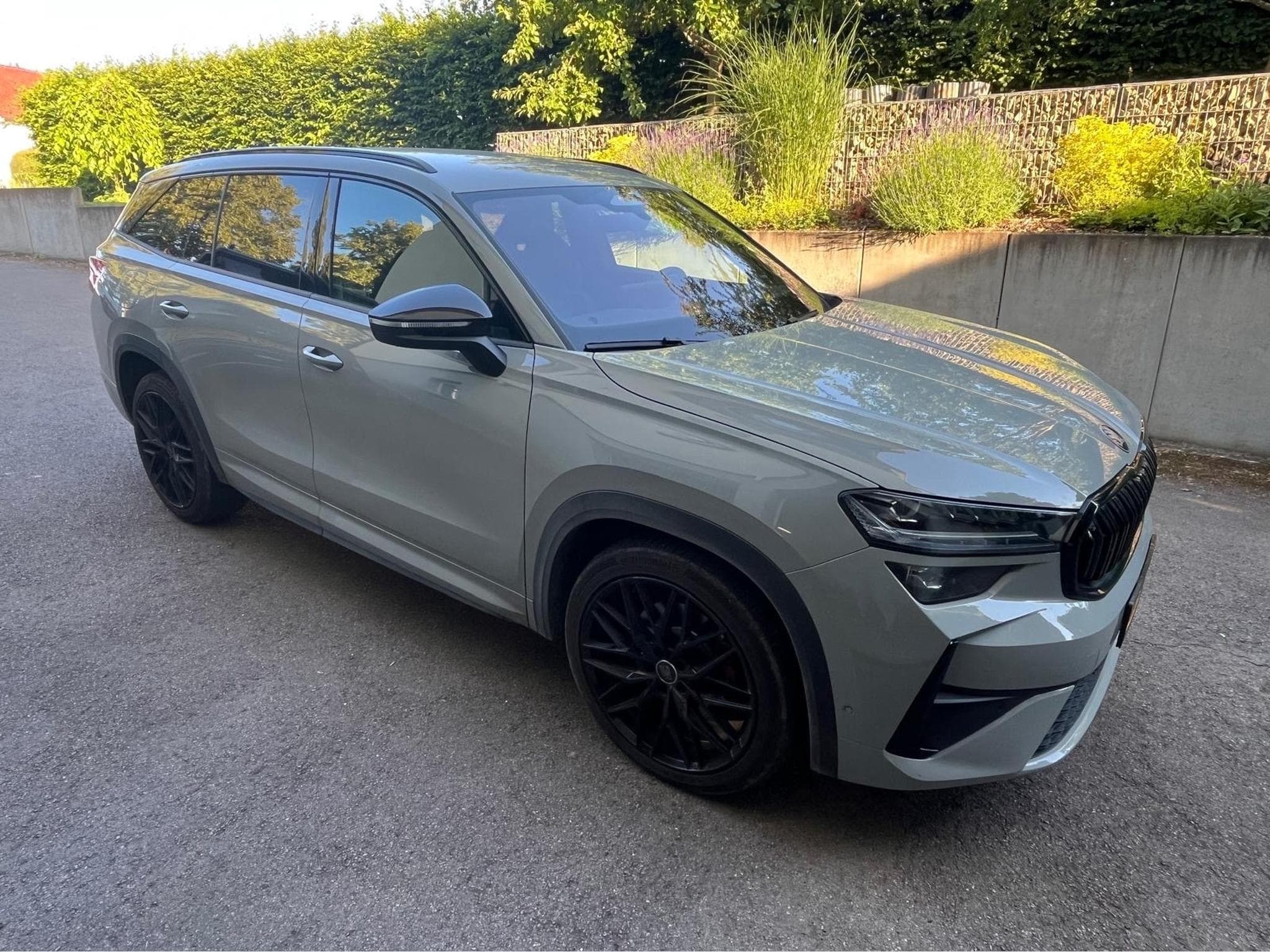 Skoda Kodiaq RS 2.0 TSI 4X4 (2025) - Photo 9