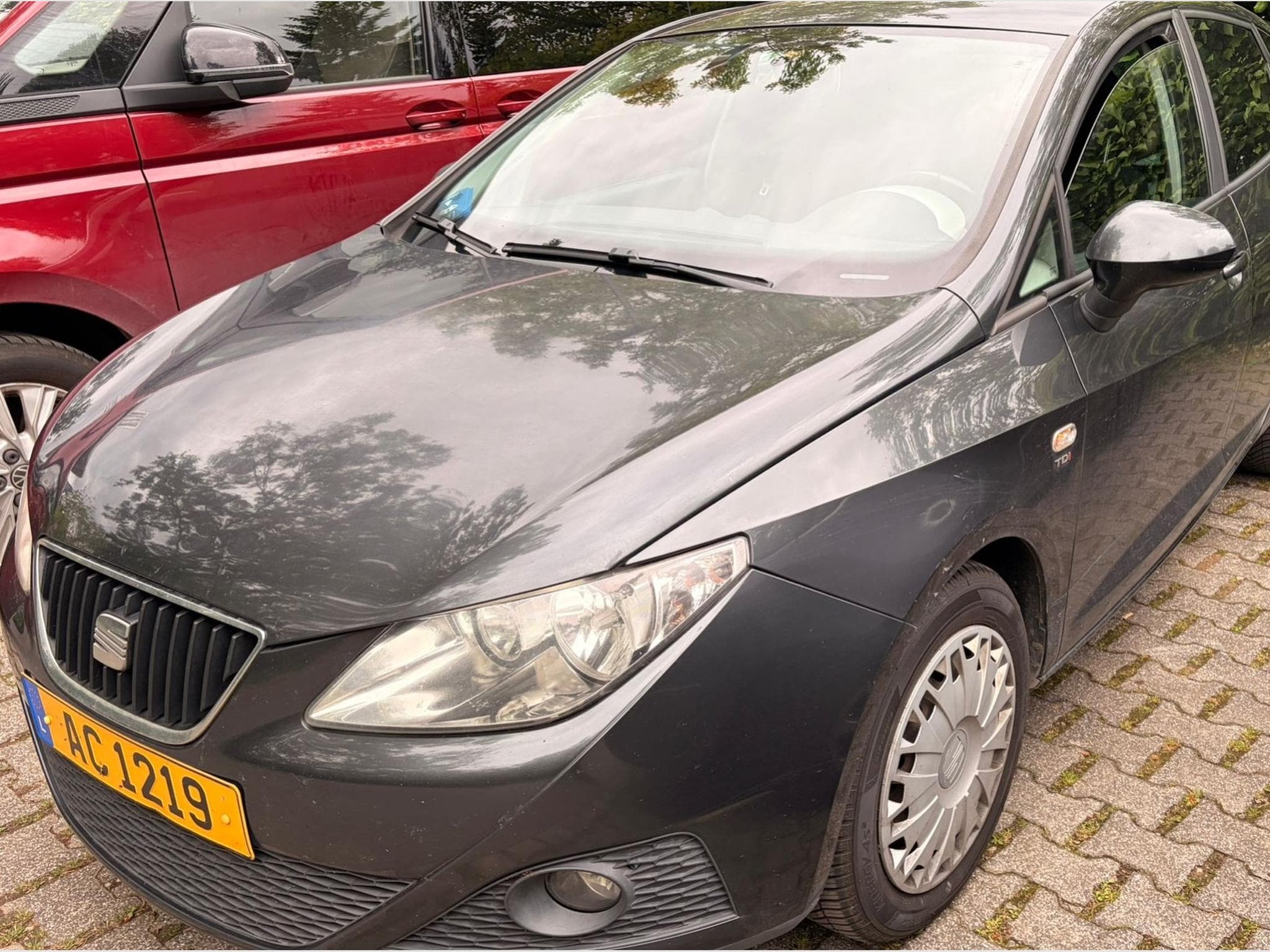 Seat Ibiza (2011) - Photo 1