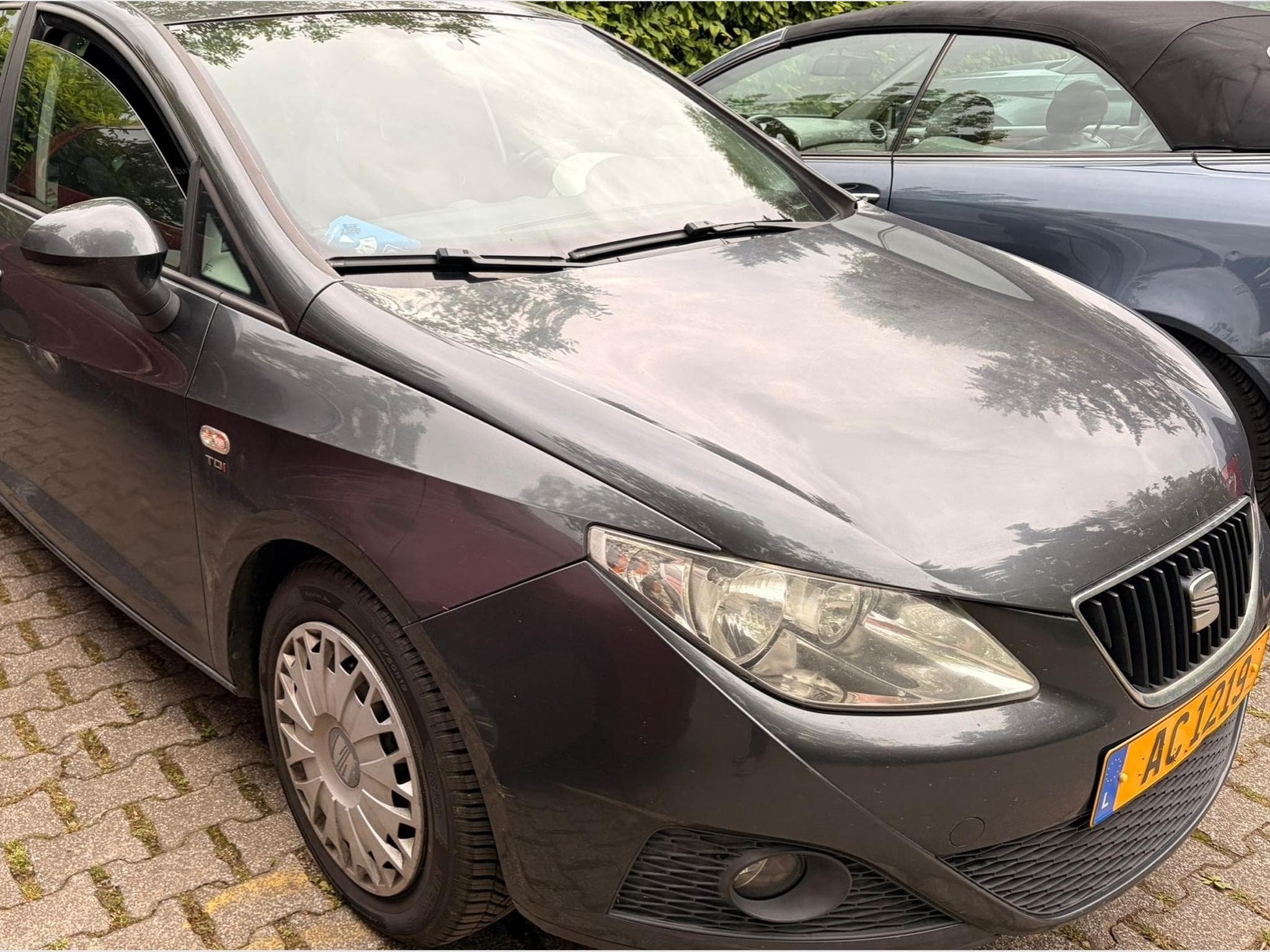 Seat Ibiza (2011) - Photo 2