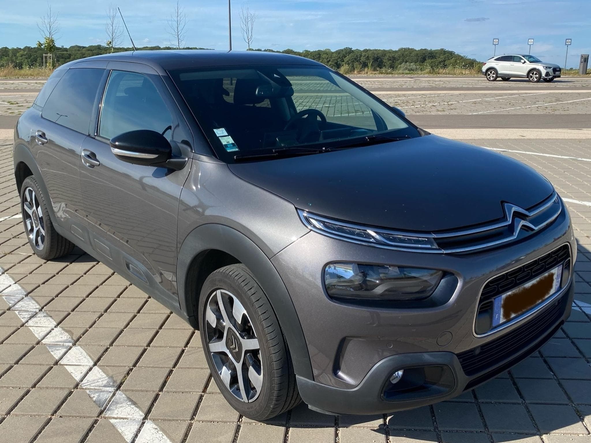 Citroën C4 Cactus Shine (2020) - Photo 1