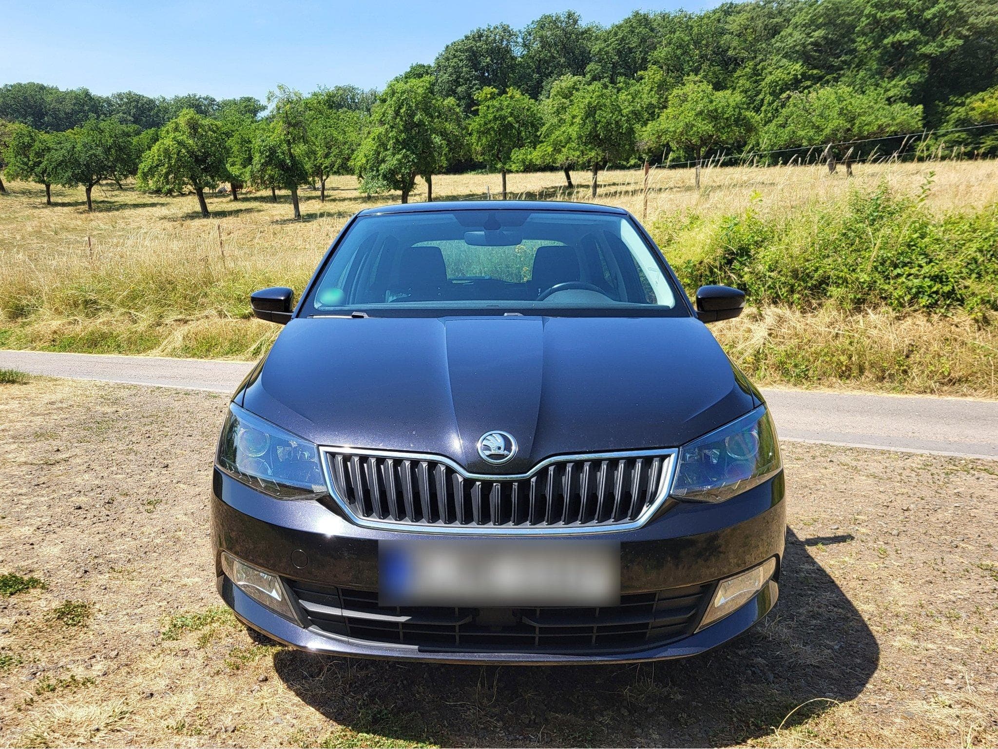 Skoda Fabia 1.4l TDI 90PS Ambition Navi Winterreifen (2016) - Photo 6