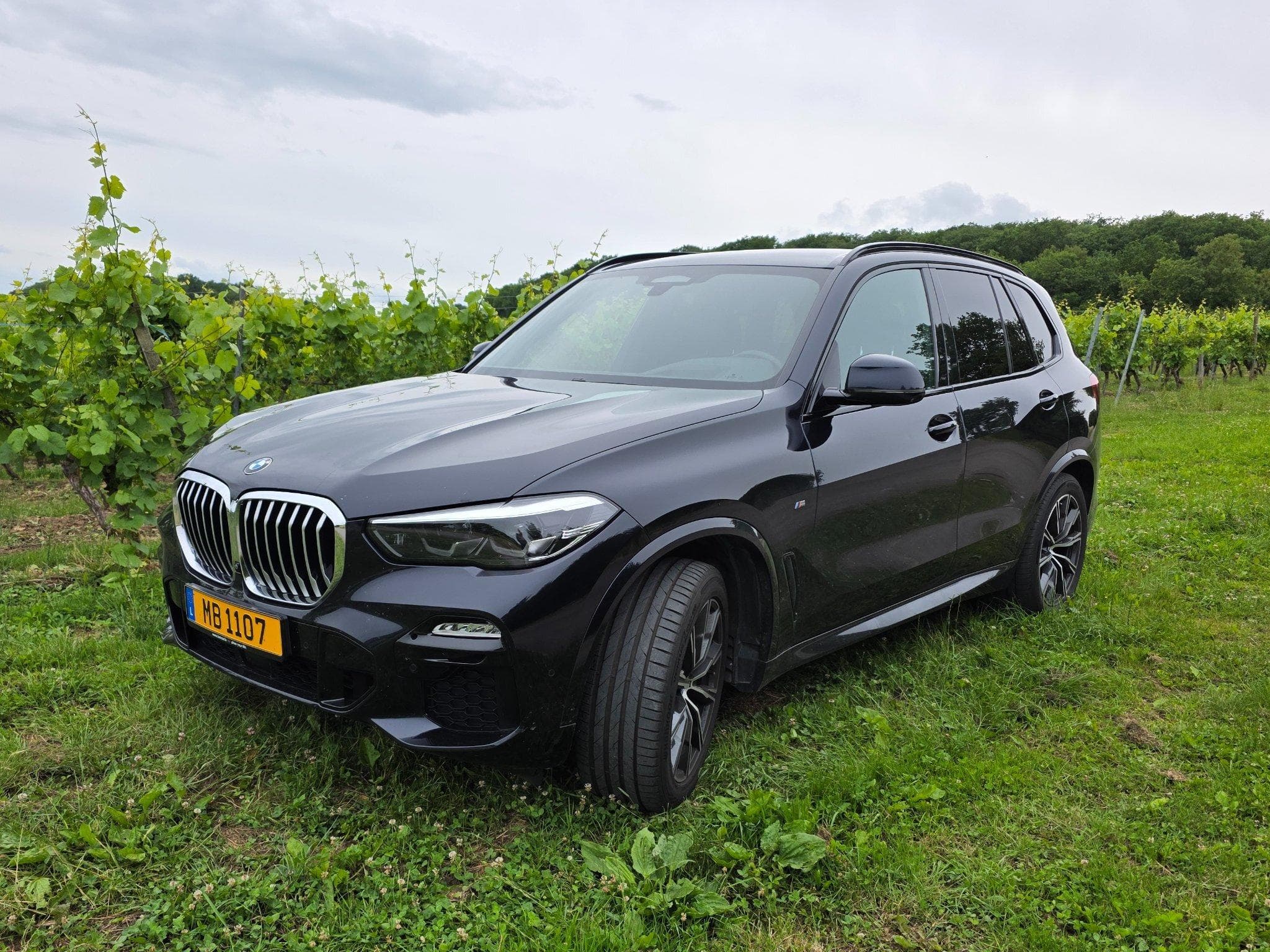 BMW X5 xDrive30d Pack M Steptronic (2019) - Photo 3