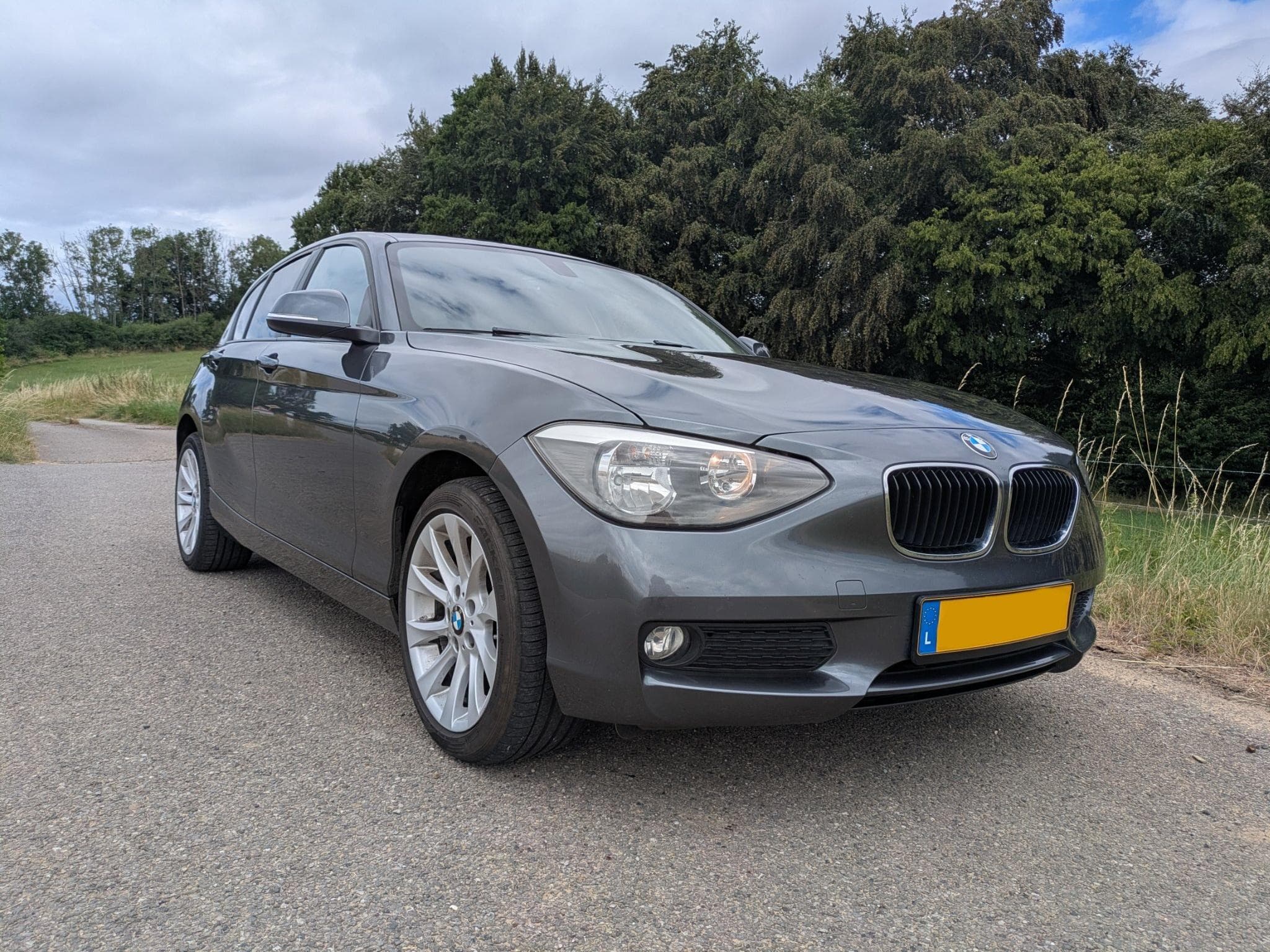 BMW 114 Advantage (2014) - Photo 3