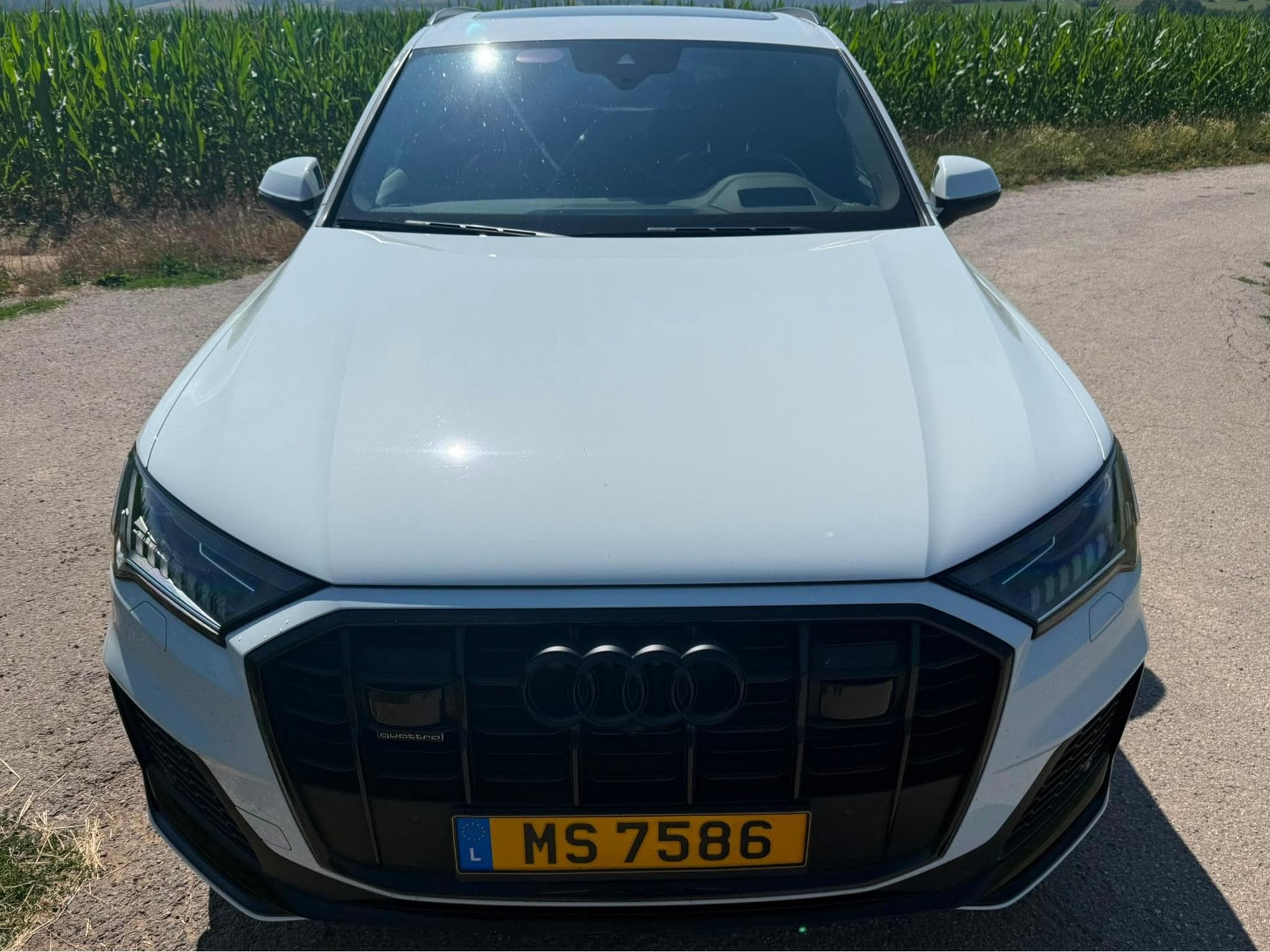 Audi Q7 S-line (2021) - Photo 2