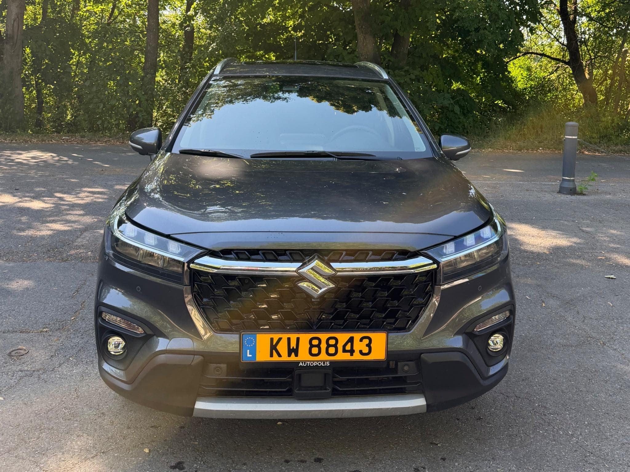 Suzuki S-Cross SX4. Cross (2024) - Photo 1
