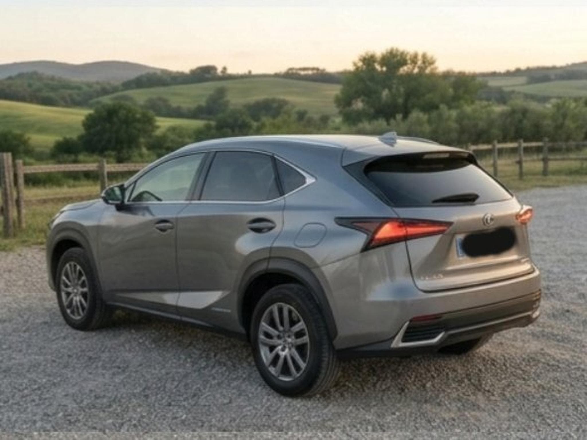 Lexus NX Executive (2017) - Photo 2