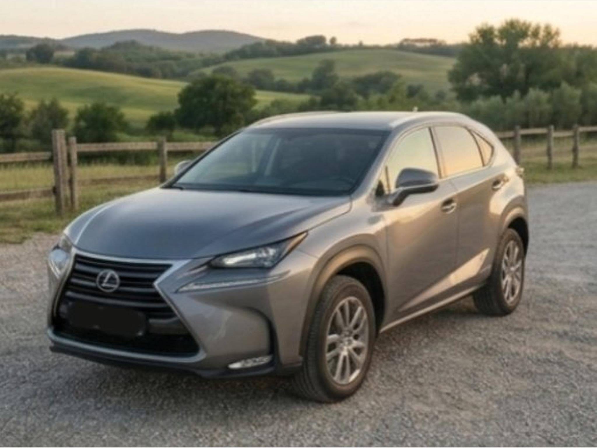 Lexus NX Executive (2017) - Photo 1