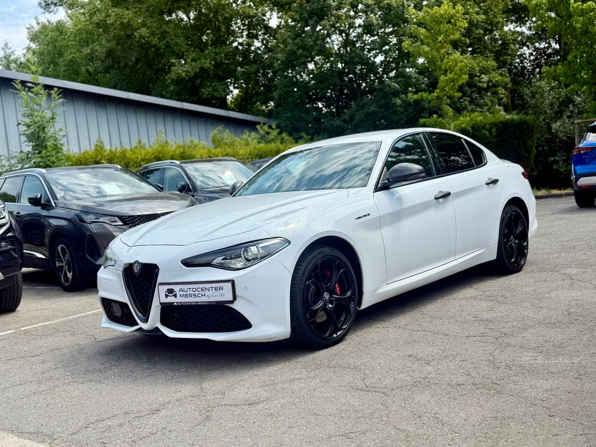 Alfa-Romeo Giulia 2.0 Turbo 280 AT Q4 Veloce (2019) - Photo 3
