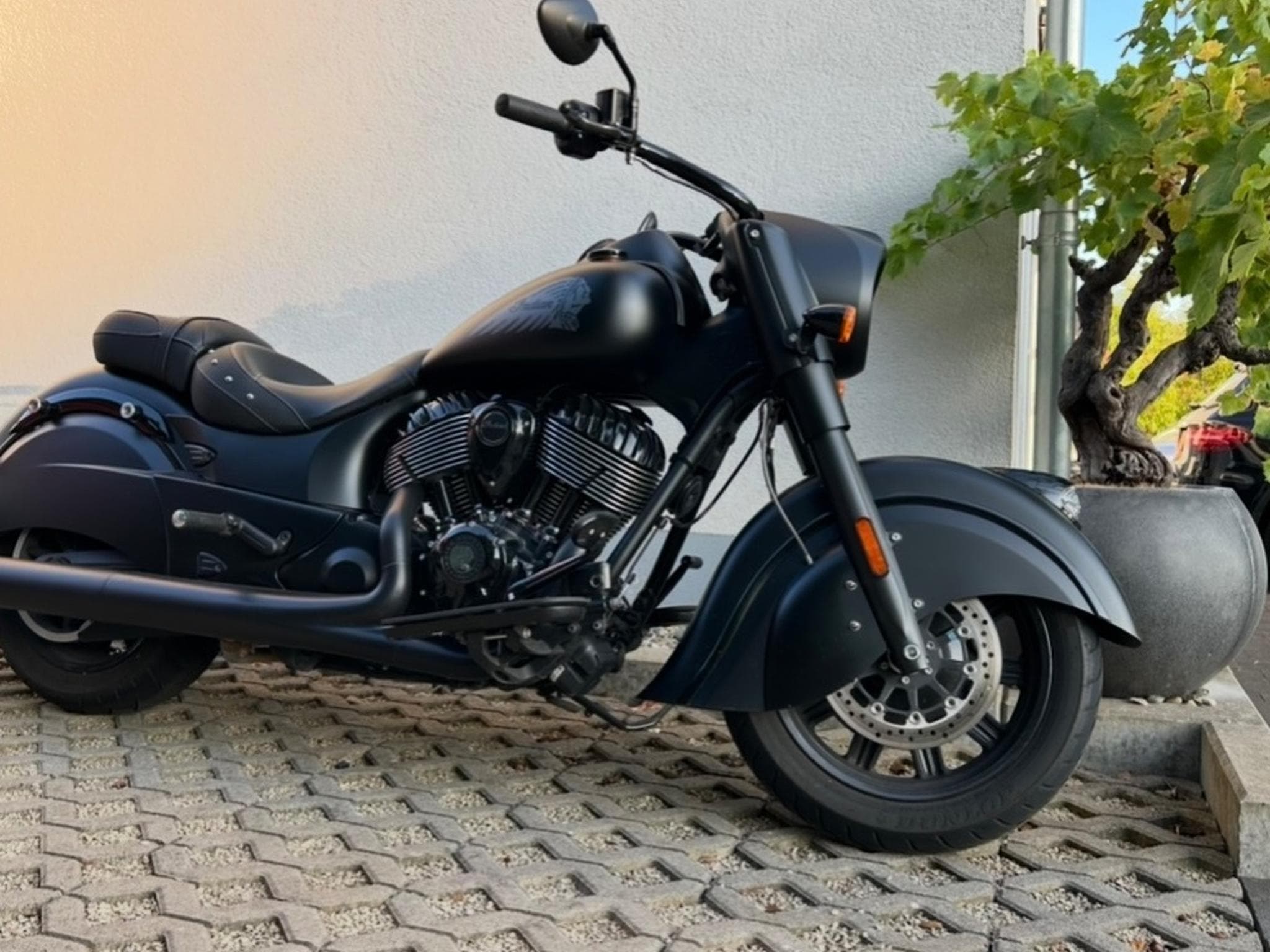 Indian Chief Dark-horse (2020) - Photo 1