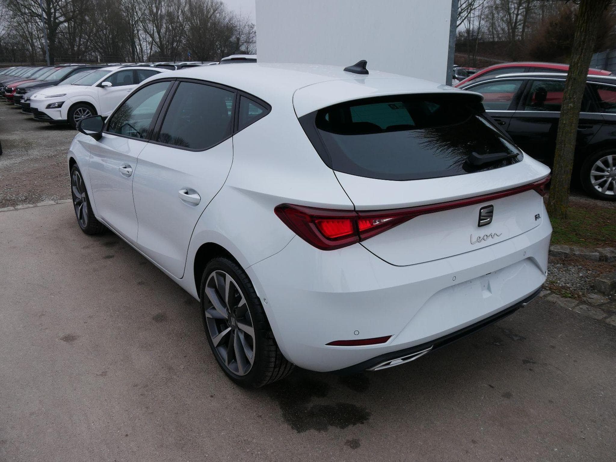 Seat Leon FR (2026) - Photo 6