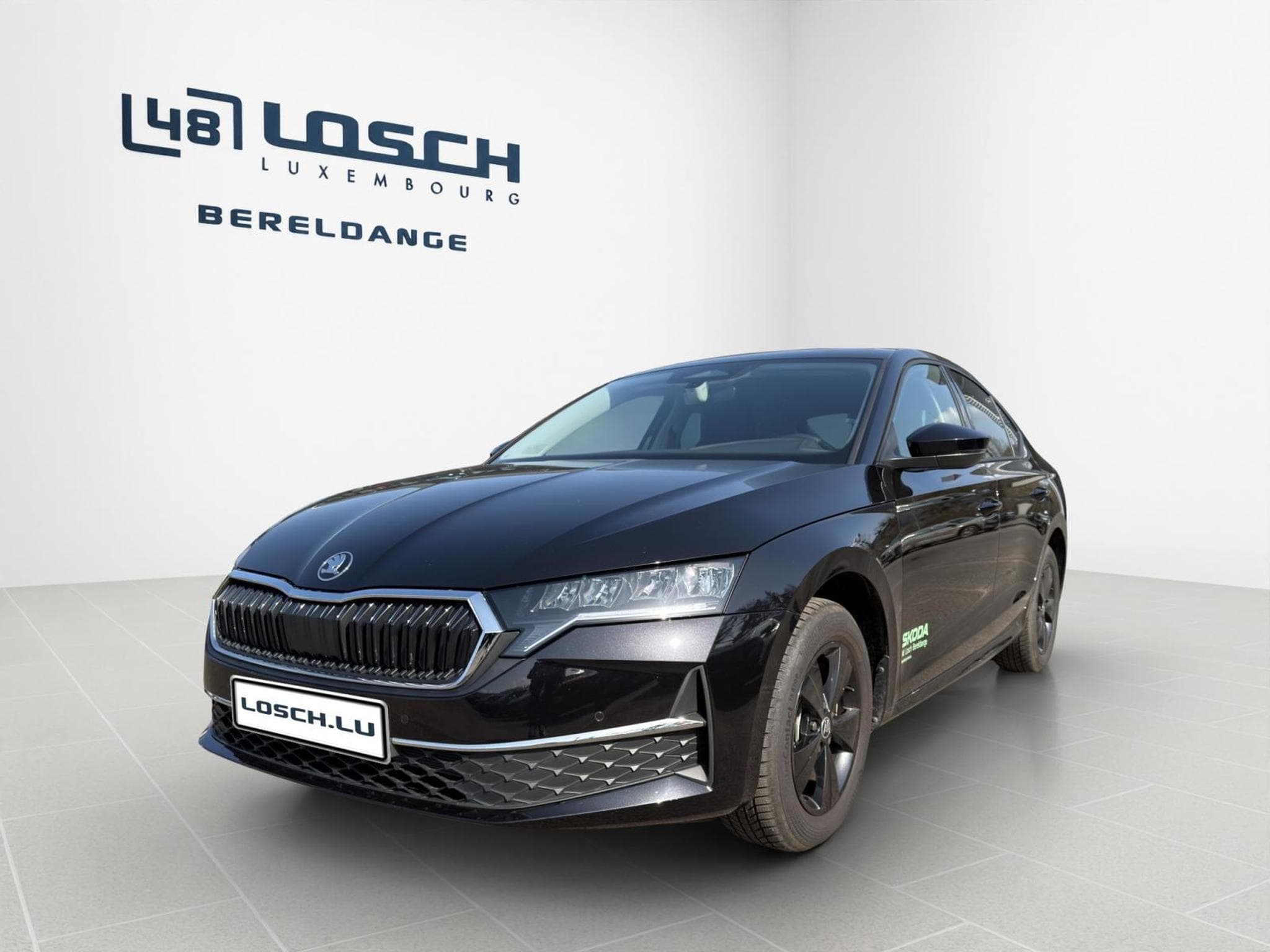 Skoda Octavia Selection (2026) - Photo 3