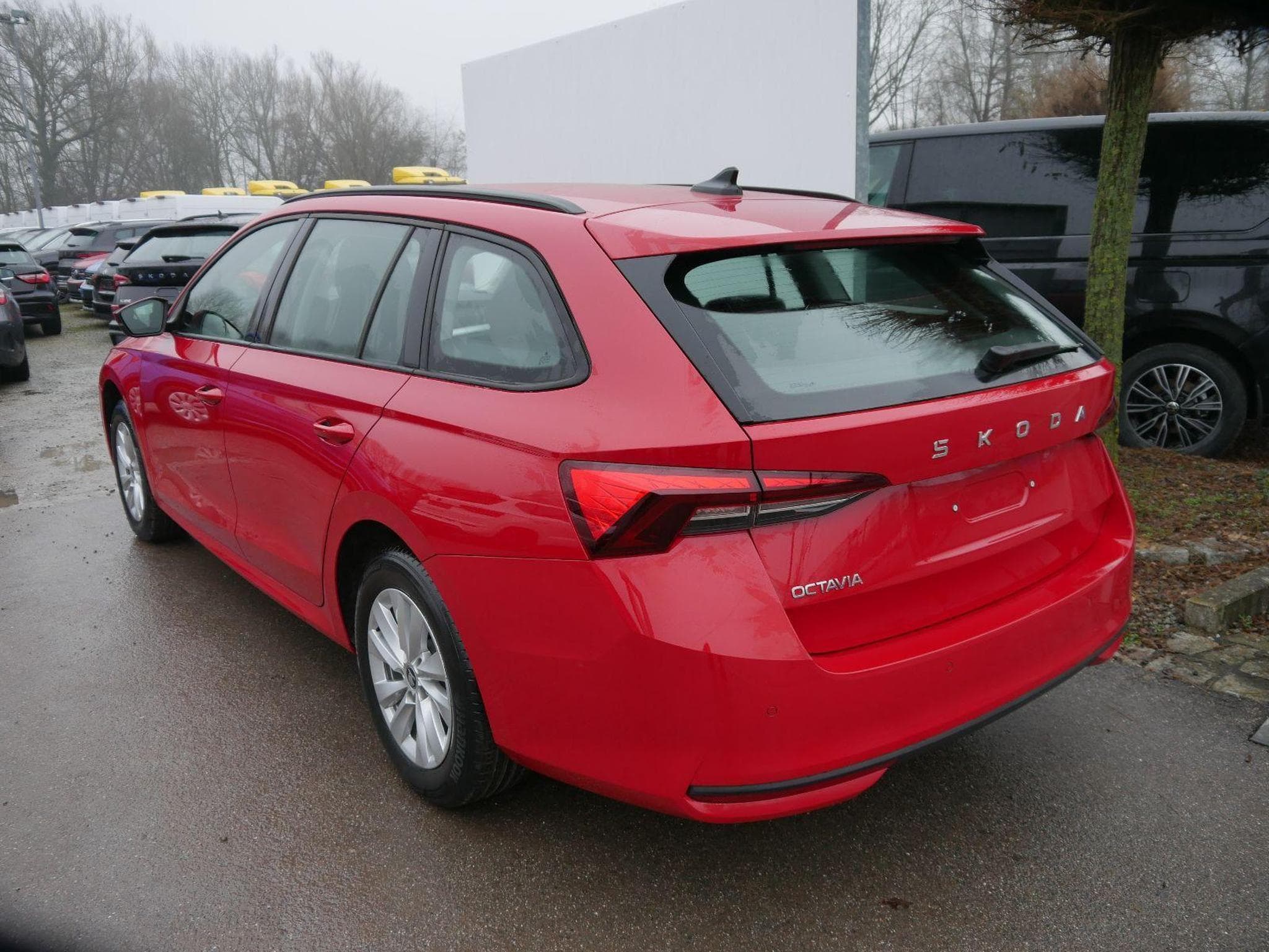 Skoda Octavia Selection (2026) - Photo 5