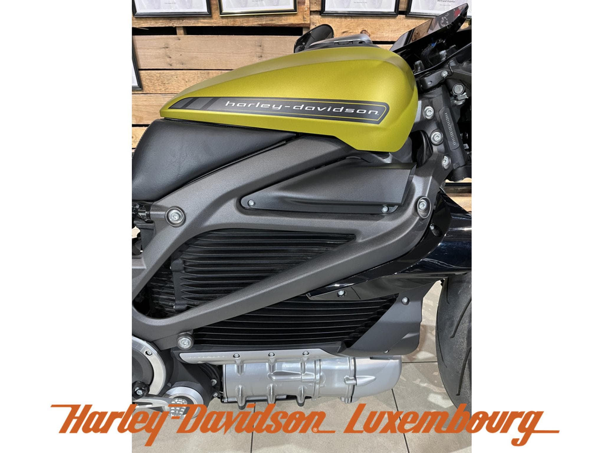 Harley-Davidson LiveWire (2020) - Photo 2