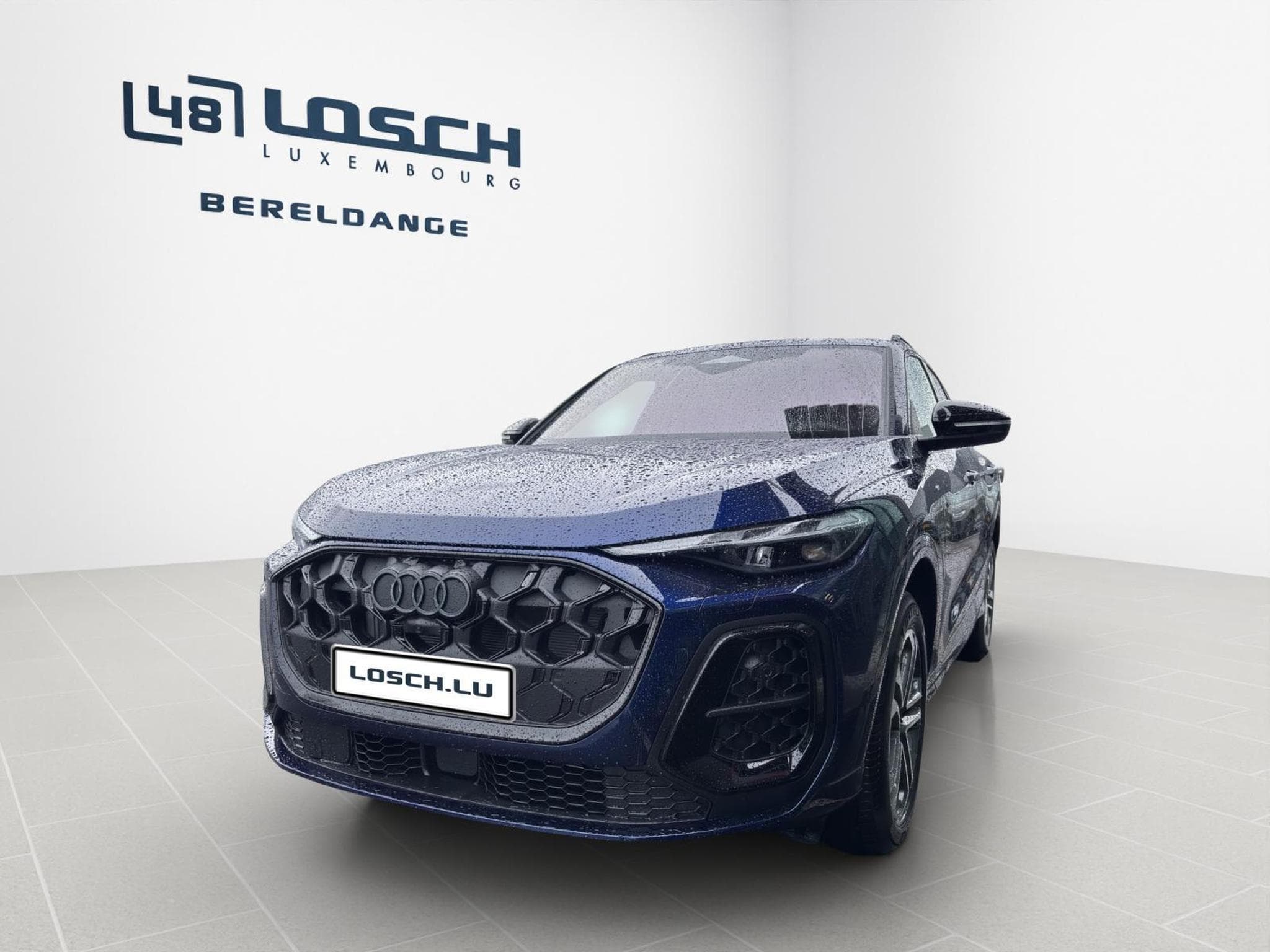 Audi Q5 SUV (2026) - Photo 1