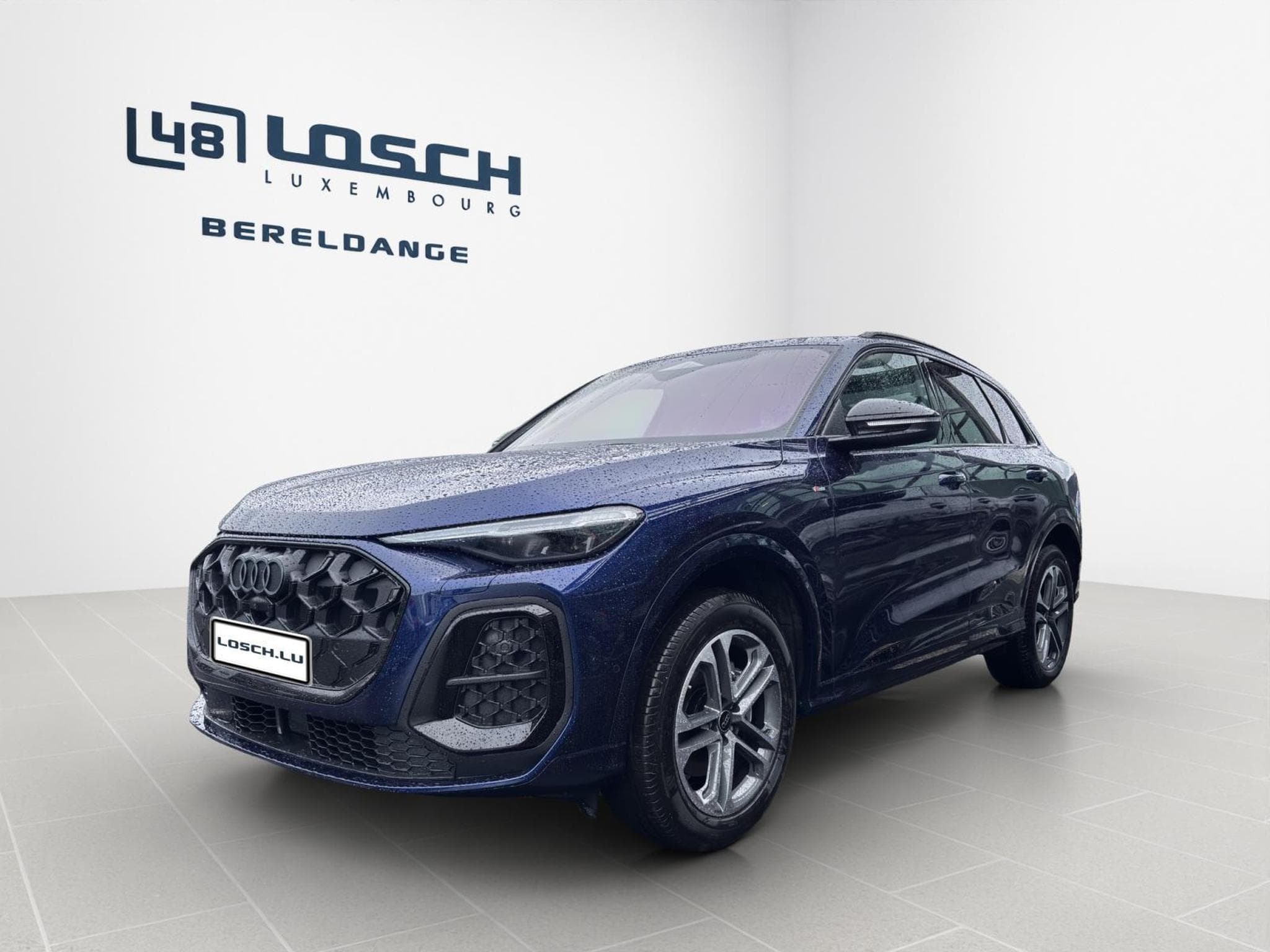 Audi Q5 SUV (2026) - Photo 2