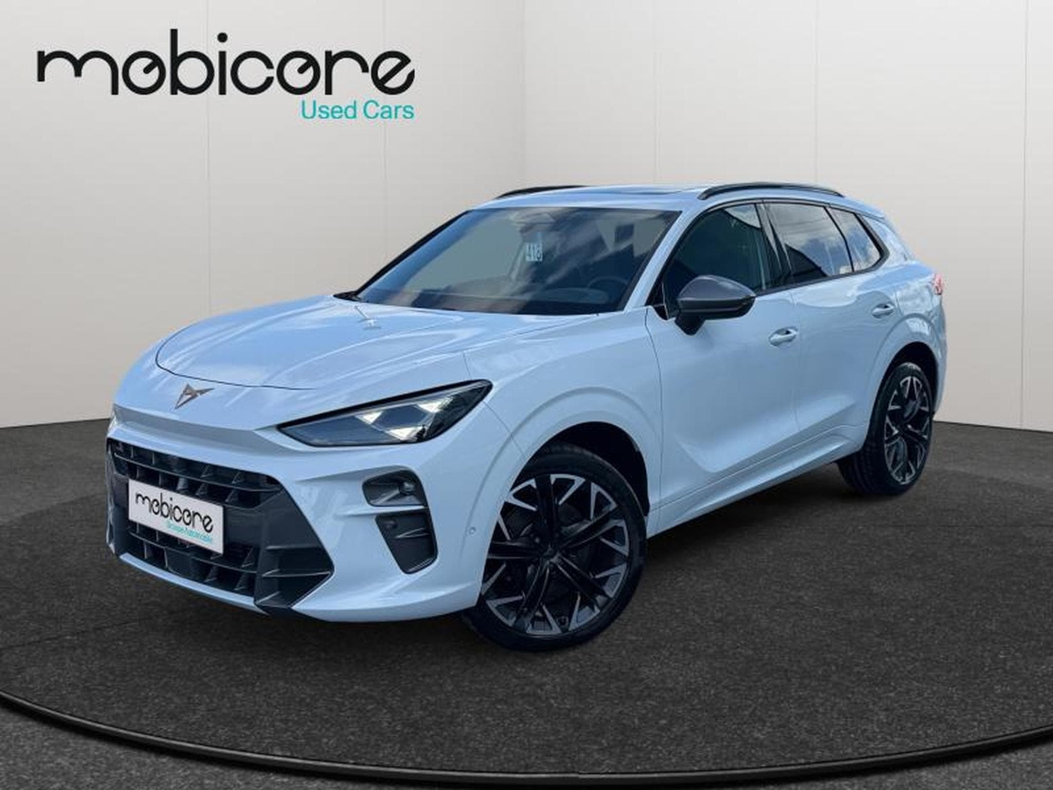 Cupra Terramar VZ 2.0 TSI 4x4 265 CV/ Essence (2025) - Photo 1