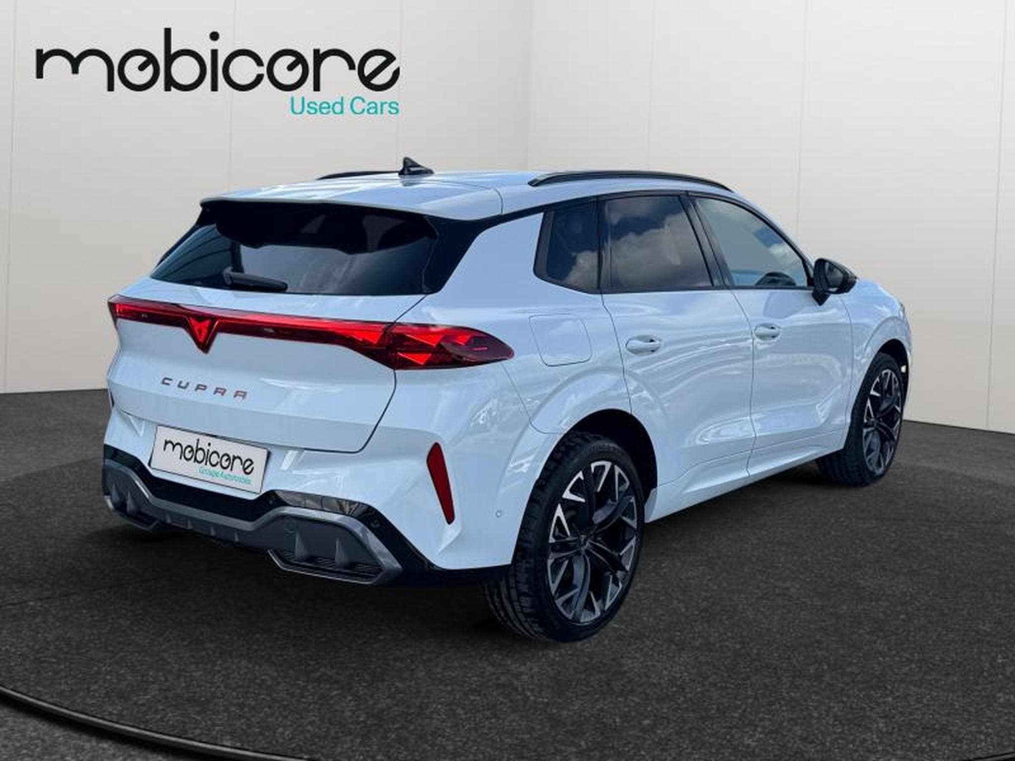 Cupra Terramar VZ 2.0 TSI 4x4 265 CV/ Essence (2025) - Photo 21