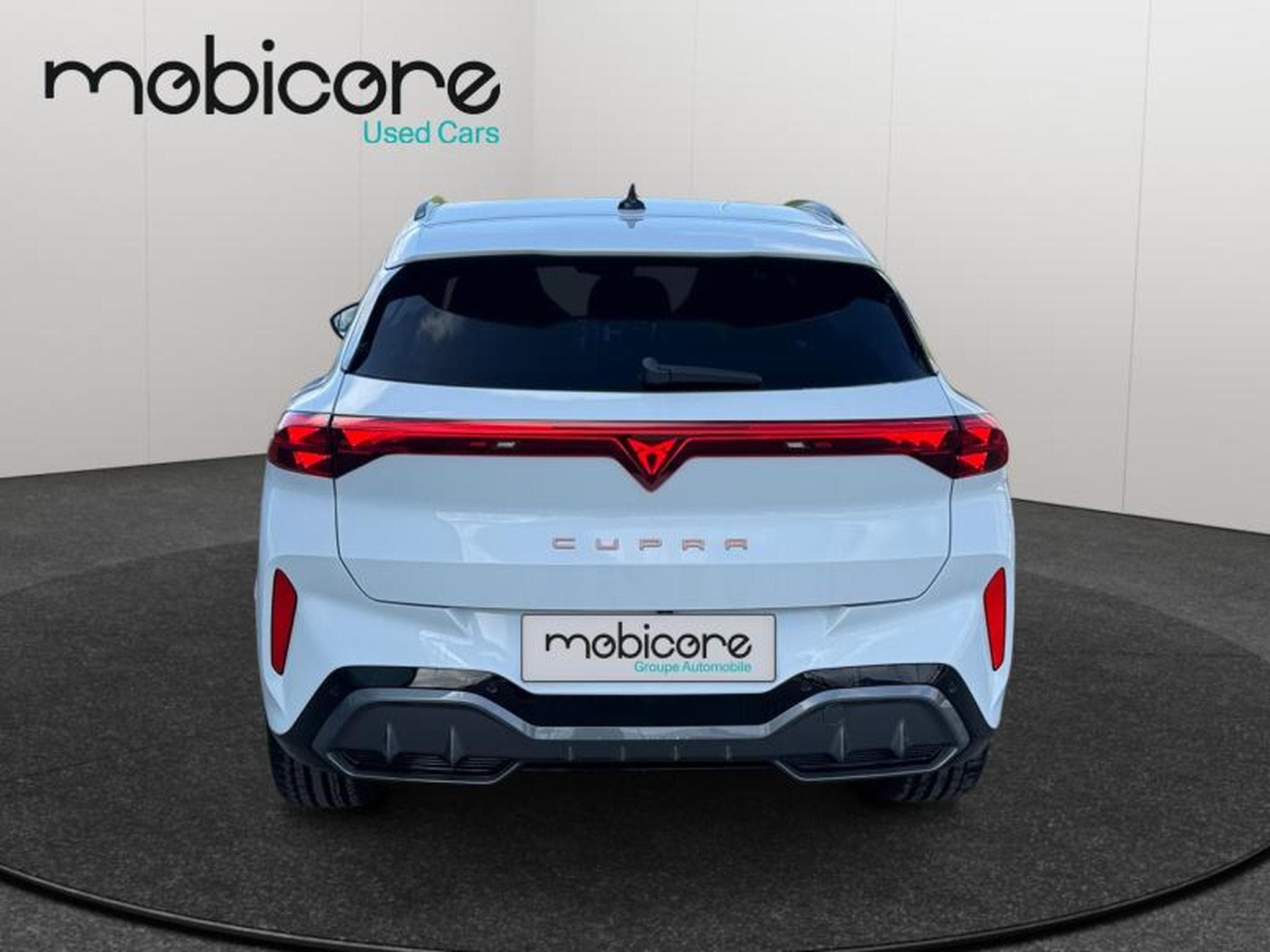 Cupra Terramar VZ 2.0 TSI 4x4 265 CV/ Essence (2025) - Photo 25