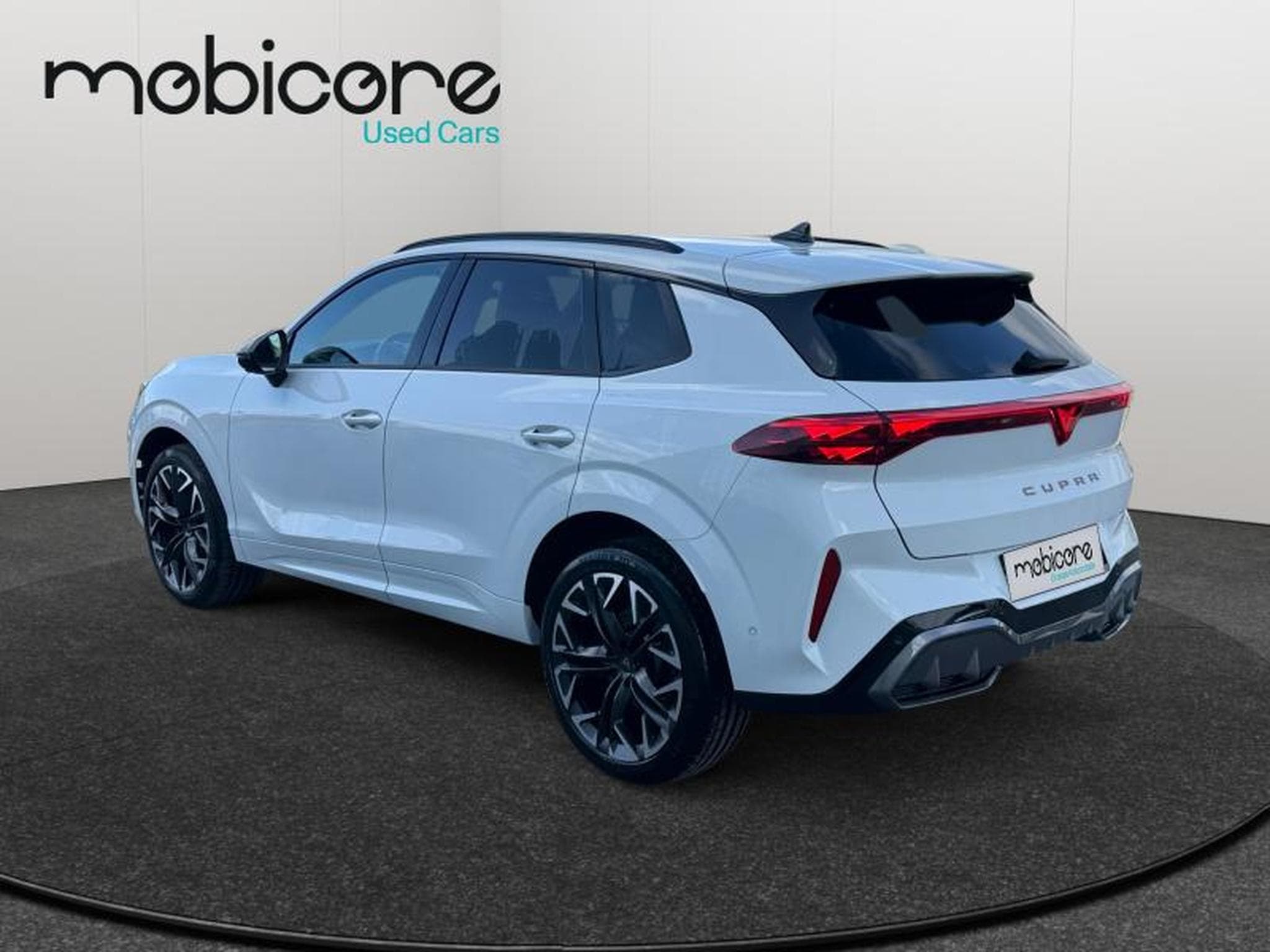 Cupra Terramar VZ 2.0 TSI 4x4 265 CV/ Essence (2025) - Photo 5