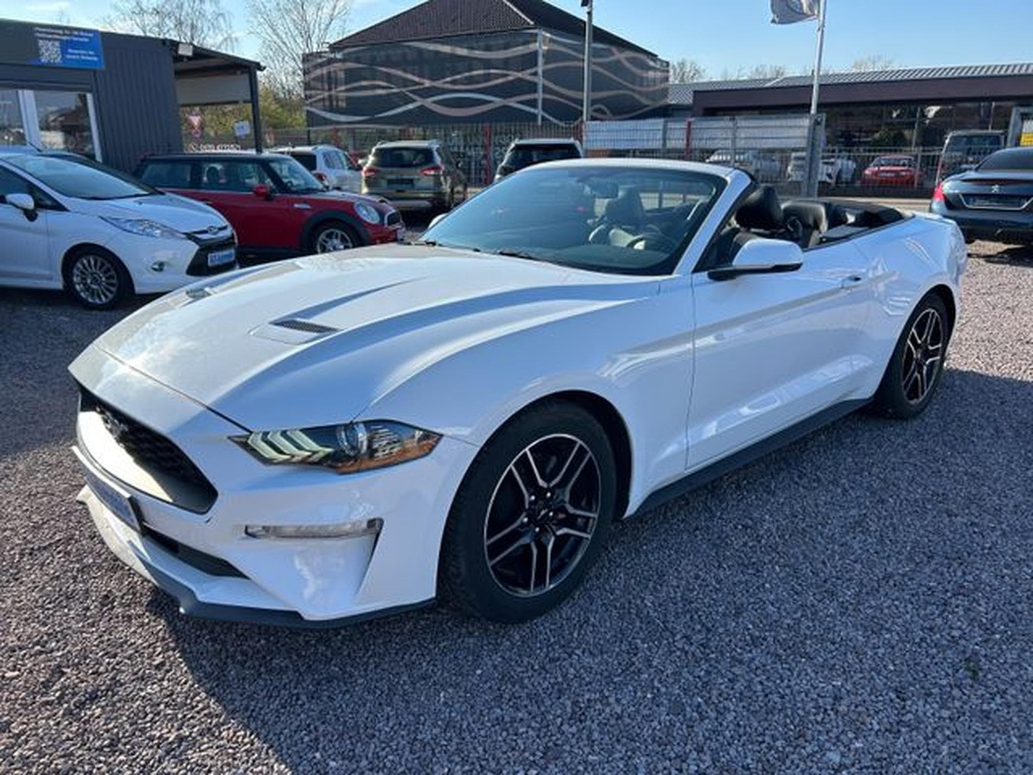 Ford Mustang Mustang Cabrio 2.3 *Autom.*Kamera*Euro6* (2020) - Photo 1