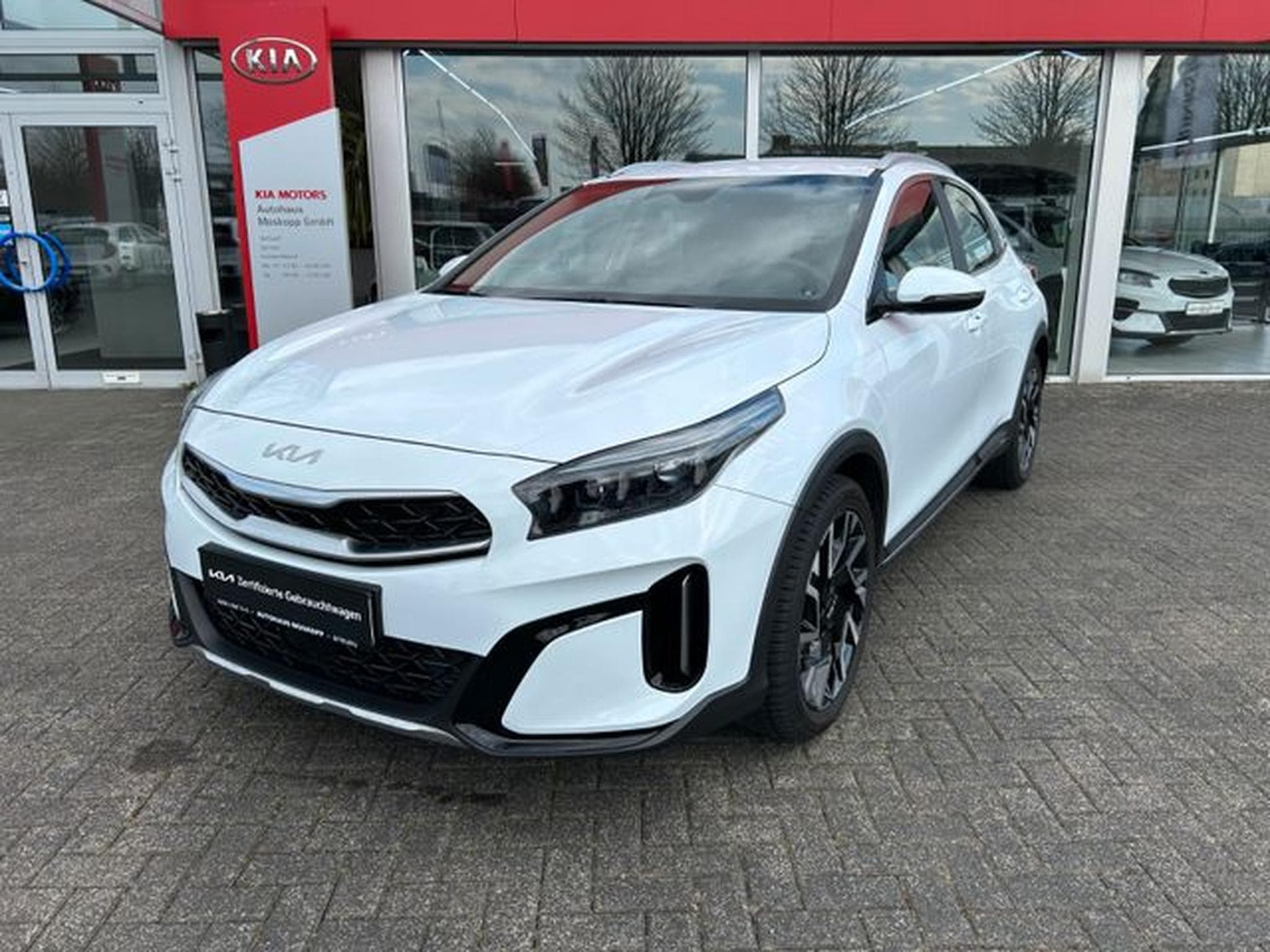 Kia XCeed XCeed 1.5T DCT Spirit LED Navi Kamera JBL SHZ (2025) - Photo 3