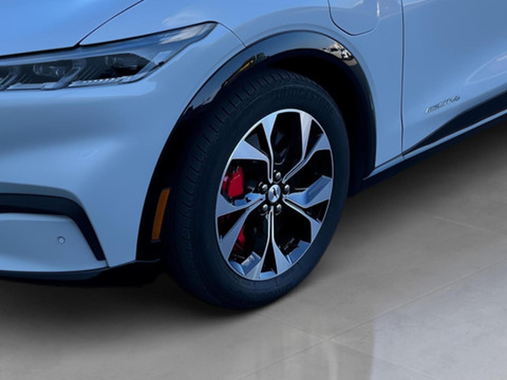 Ford Mustang Mach-E First Edition (2023) - Photo 20
