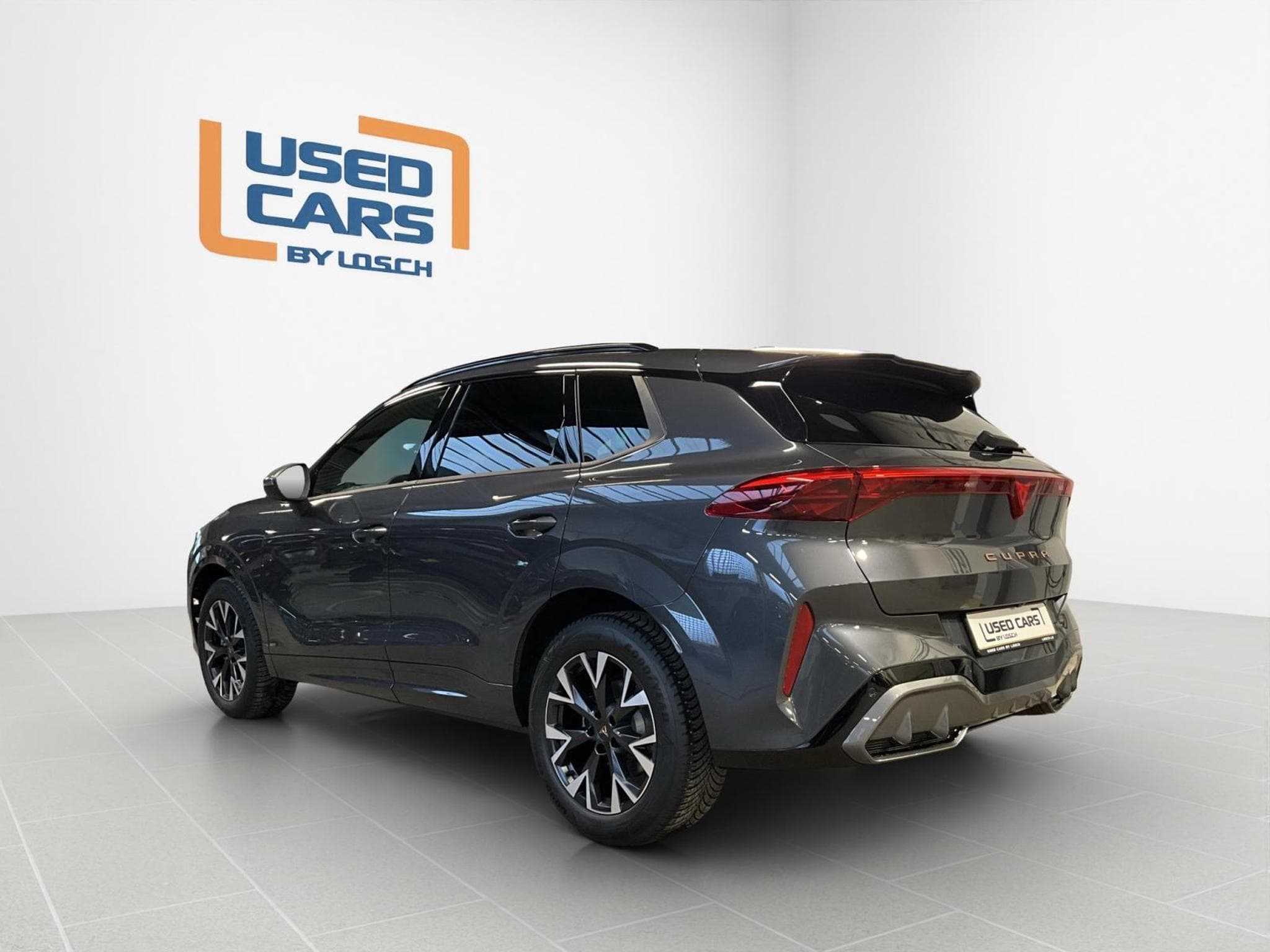 Cupra Terramar DSG+4Drive+LM18+DigitalDrive+LM18 (2025) - Photo 6