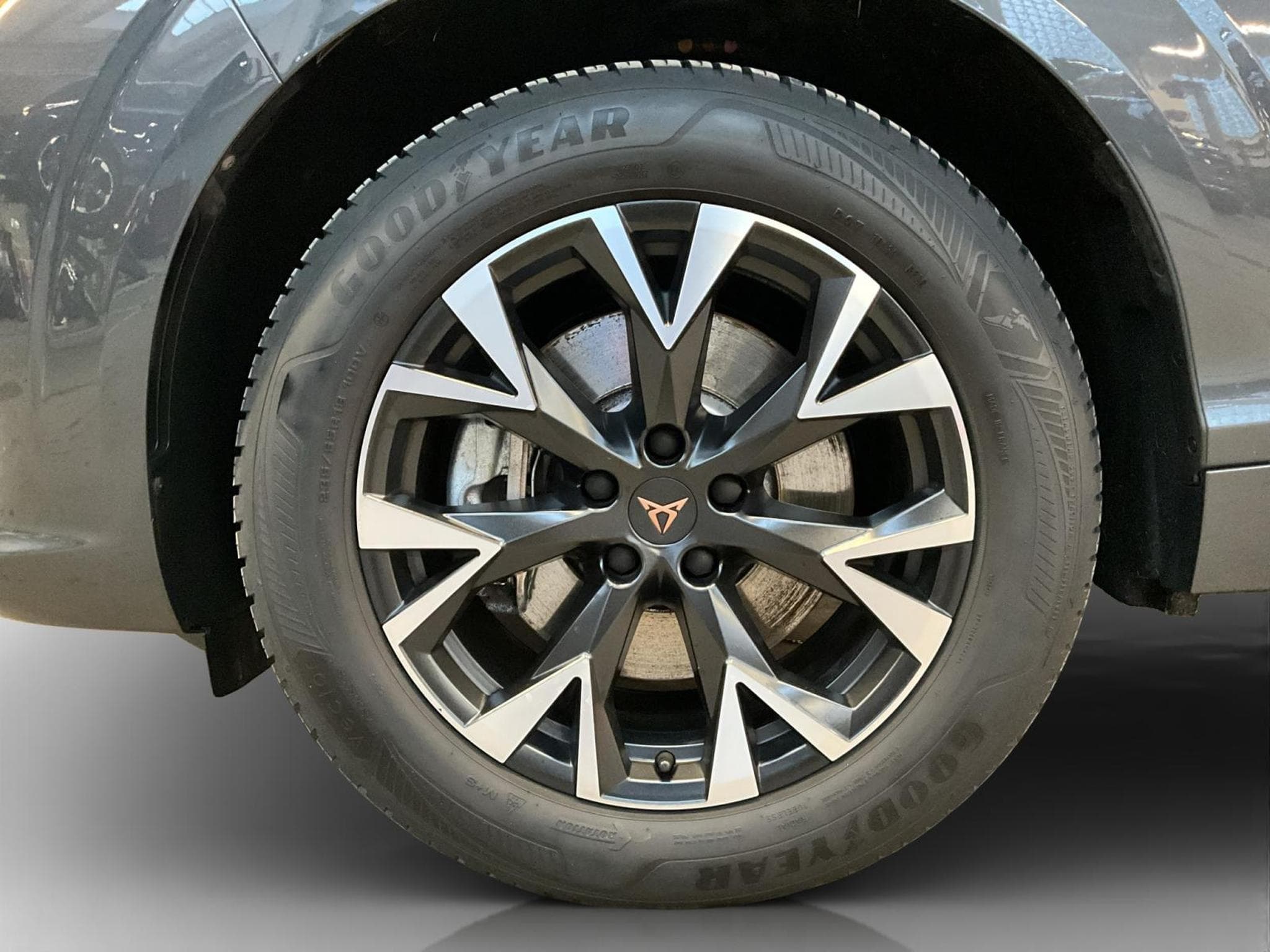 Cupra Terramar DSG+4Drive+LM18+DigitalDrive+LM18 (2025) - Photo 8