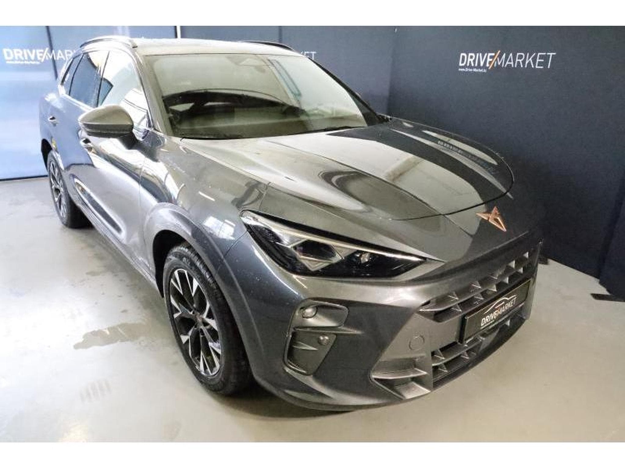 Cupra Terramar (2025) - Photo 19