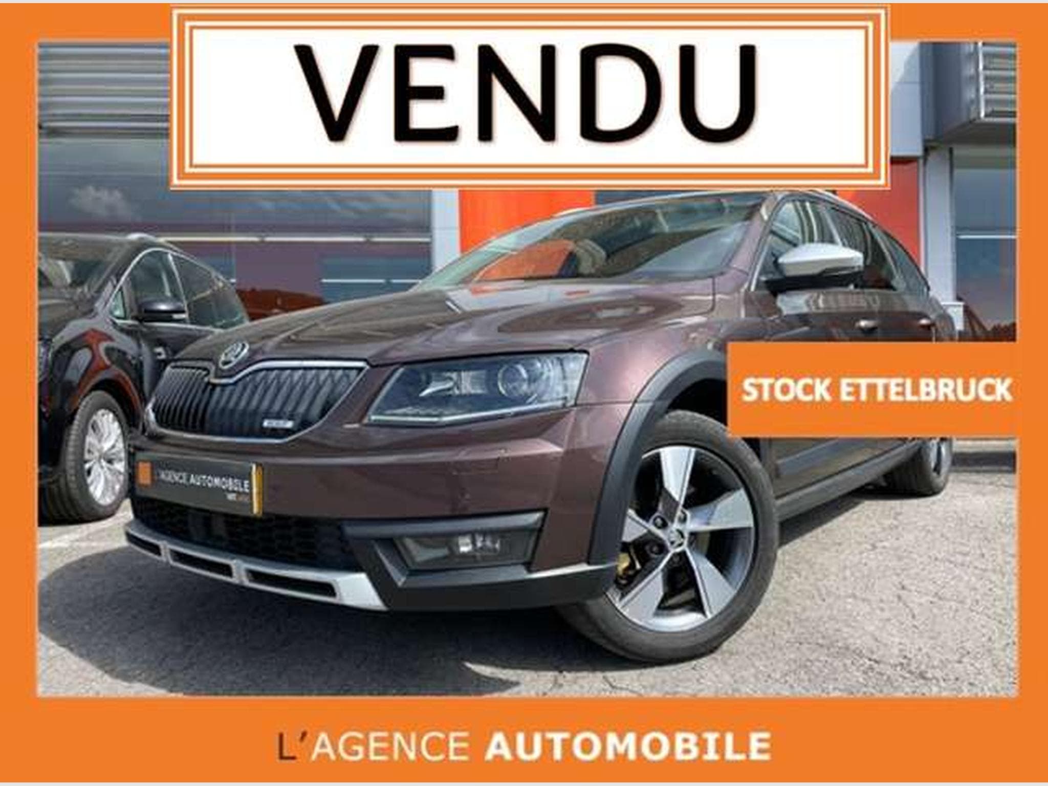 Skoda Octavia SCOUT break 2.0 TDI 4x4 DSG (2015) - Photo 1
