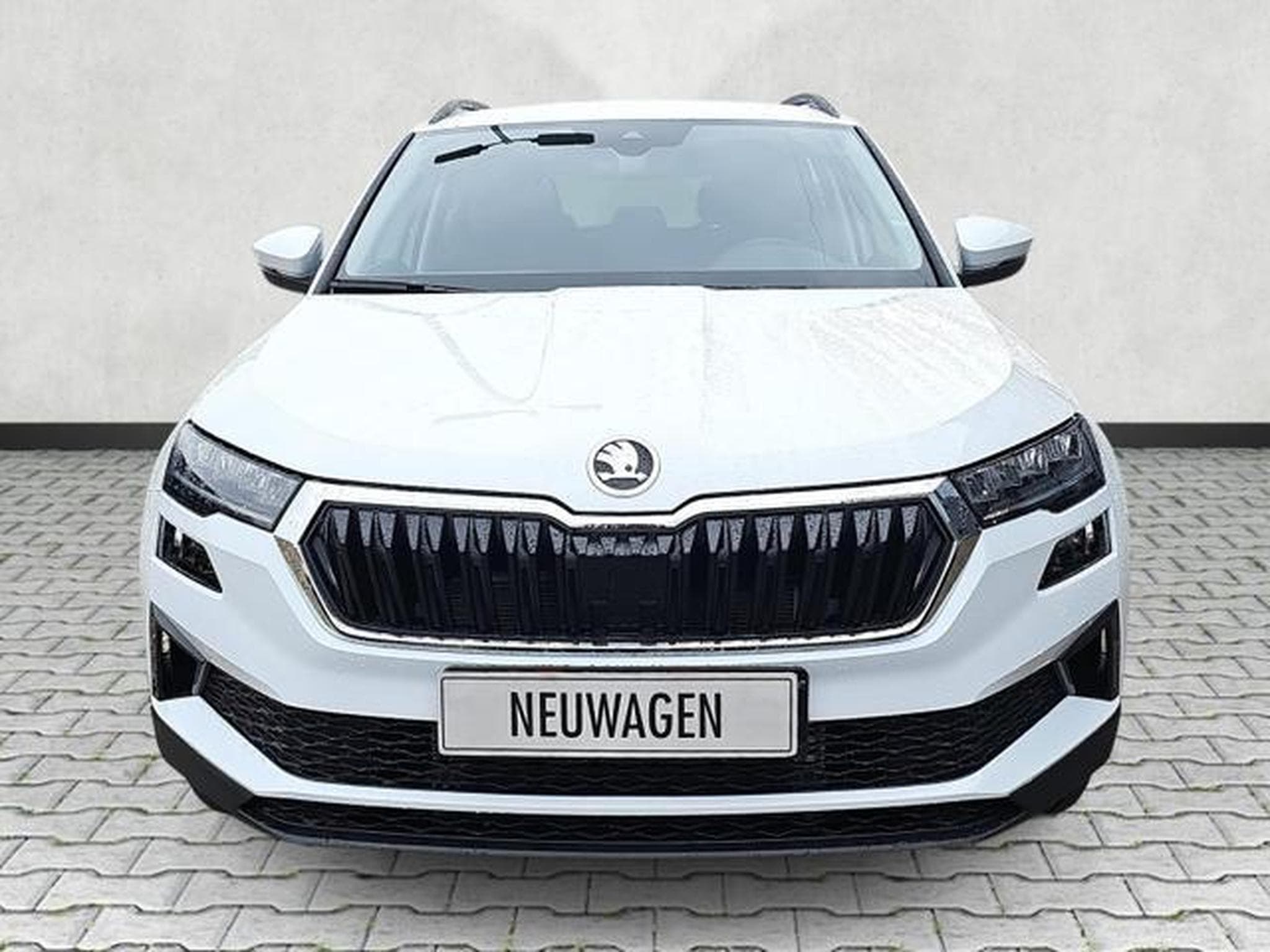 Skoda Karoq Selection (2026) - Photo 2