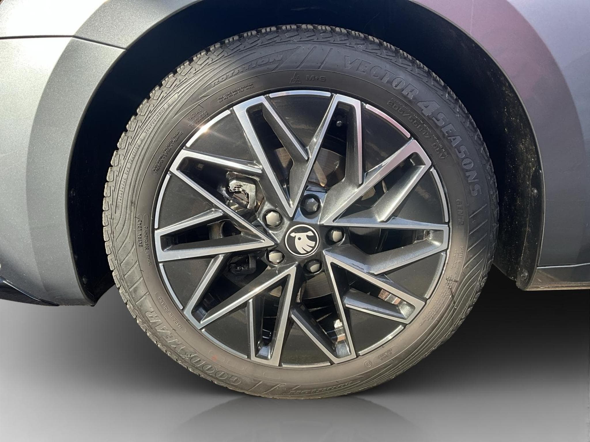 Skoda Octavia Sportline+DSG+StandH.+P.Comfort (2025) - Photo 8
