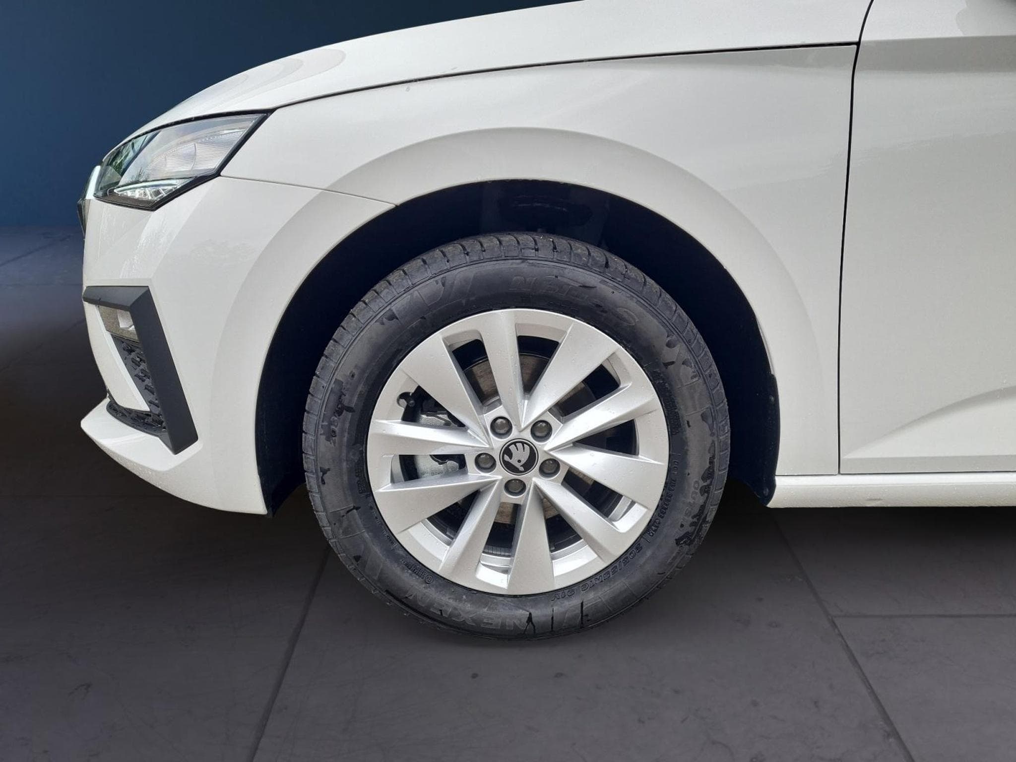 Skoda Scala Selection (2026) - Photo 7